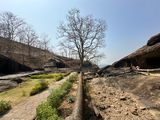 Trees and ancient caves in Sanjay Gandhi National Park, Borivali