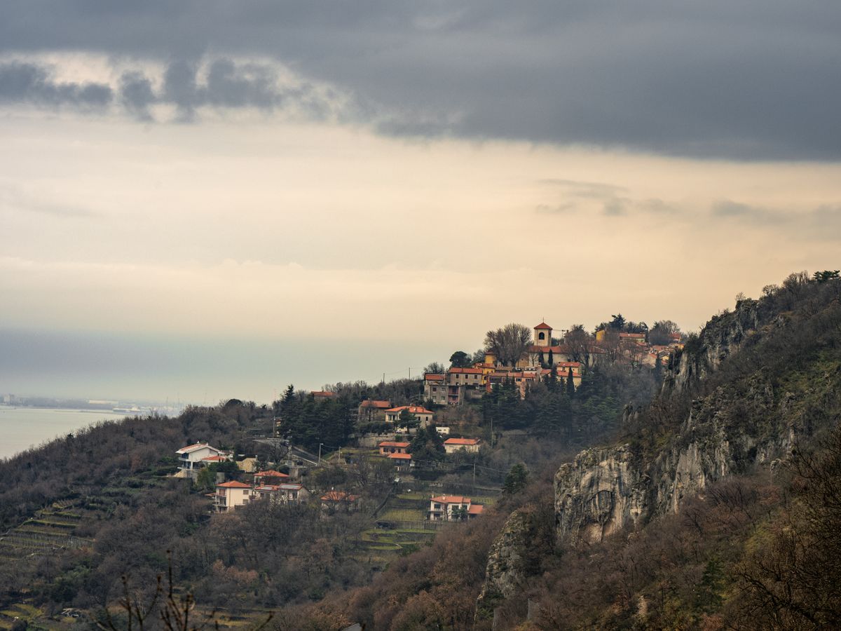14 Day Intensive 200Hr Yoga Teacher Training in Tuscany, Italy 1