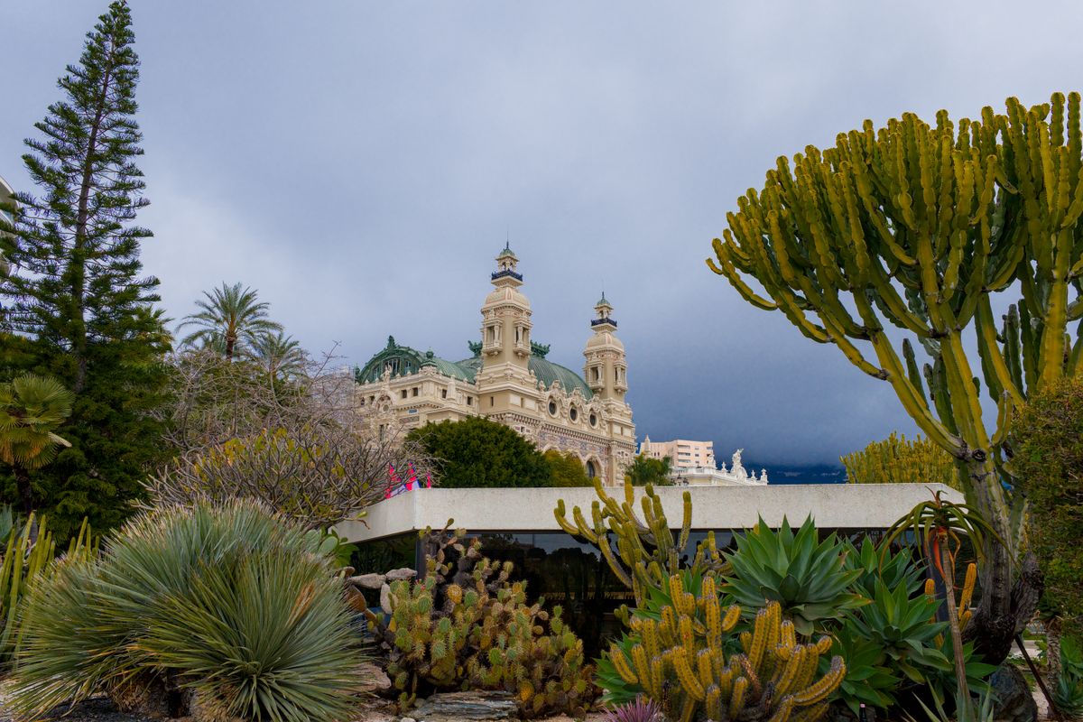 Monaco: il Giardino Esotico riapre dopo 6 anni di restauro