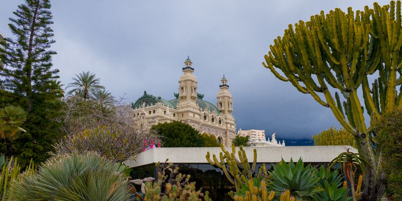 Cactus y plantas suculentas en Mónaco, con el Casino al fondo
