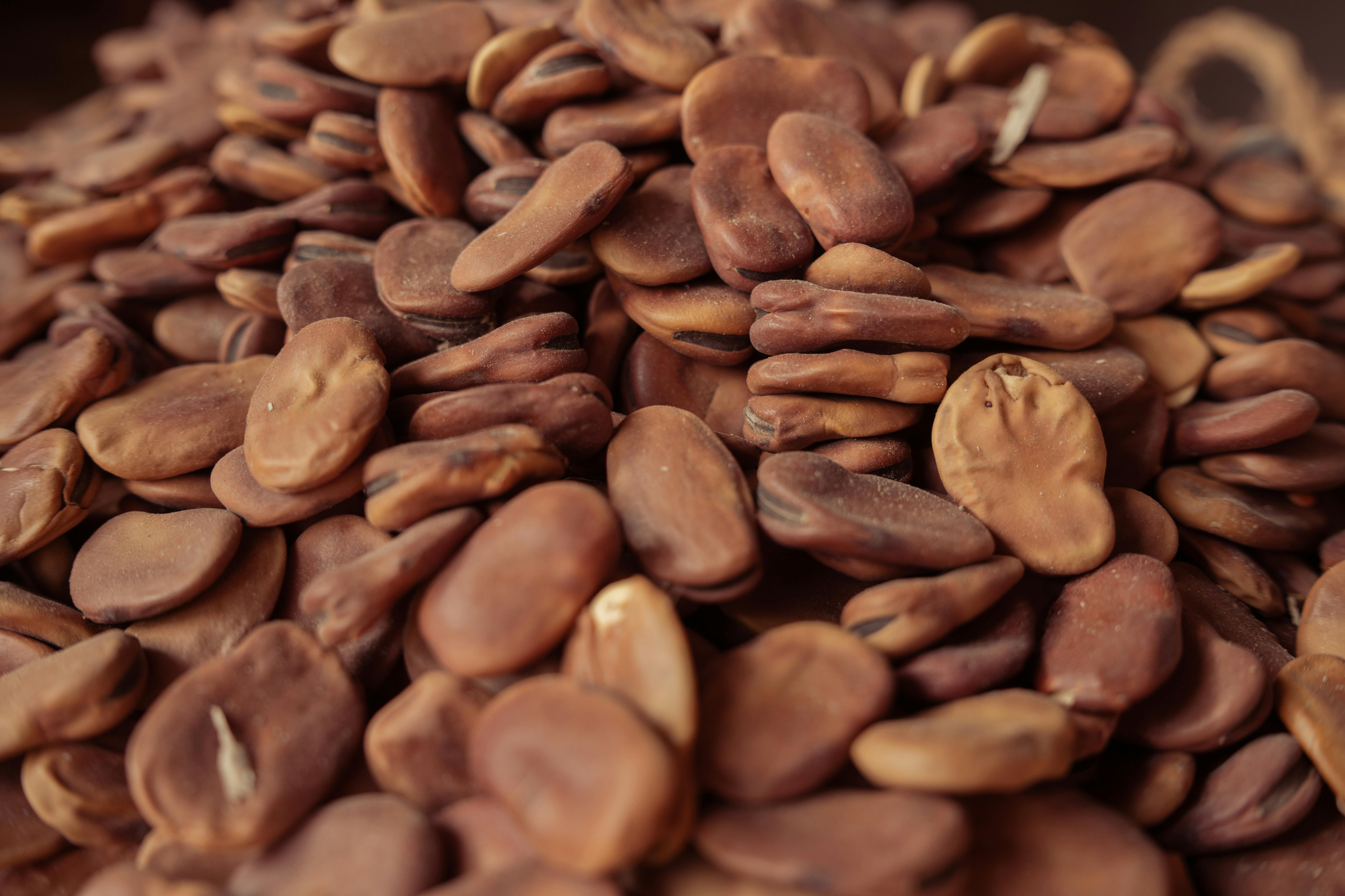 Cultura de cartofi și legume rădăcinoase în solurile argiloase din Dolj