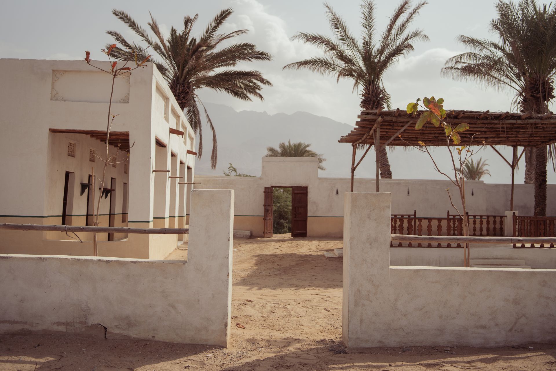 Walled desert courtyard with palm trees and a small adobe-style building