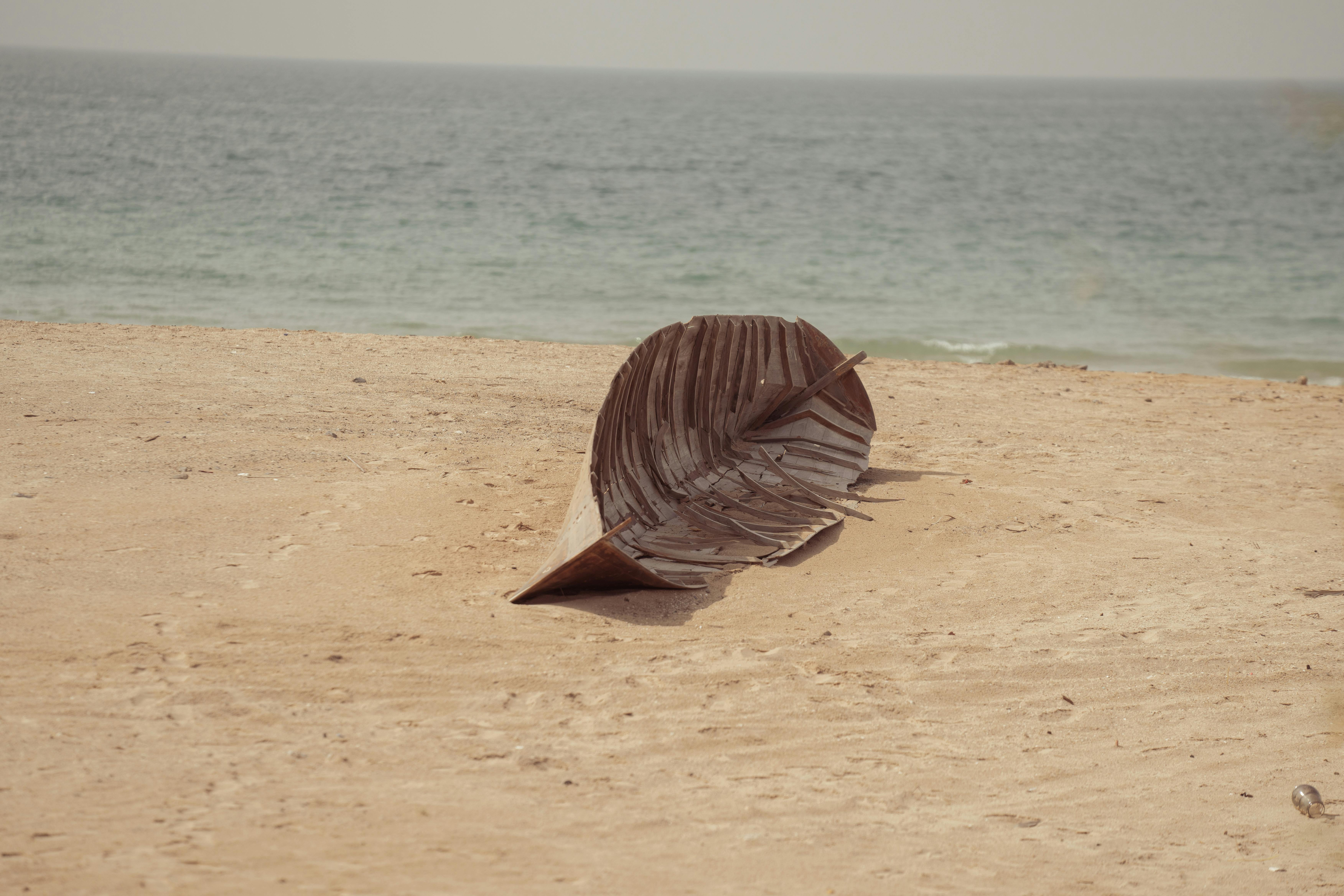 A large dried leaf resting on a sandy beach with the ocean in the background.