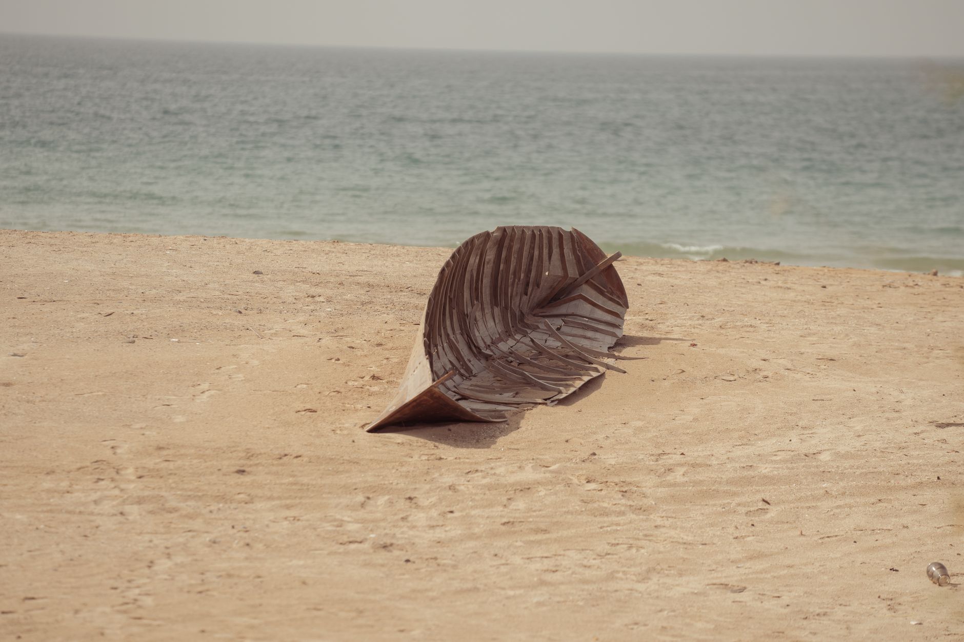 A large dried leaf resting on a sandy beach with the ocean in the background.