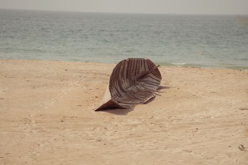 Free A large dried leaf resting on a sandy beach with the ocean in the background. Stock Photo