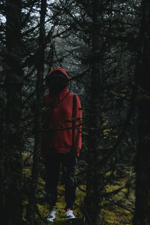 Persona Che Indossa Felpa Con Cappuccio Rossa Dietro Gli Alberi