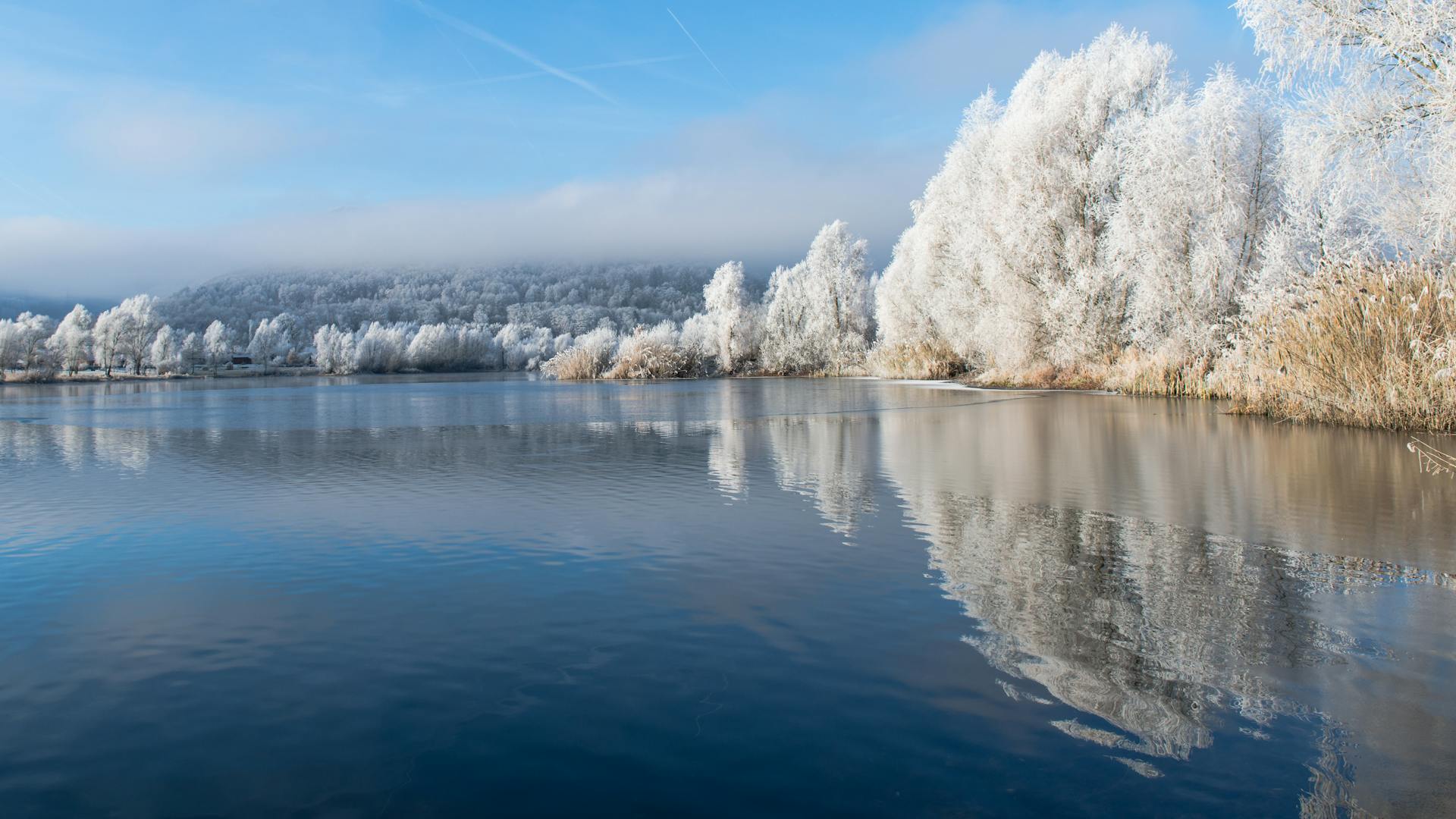 Tranquil winter scene with frost-covered trees by the river in Beverungen, Germany.
