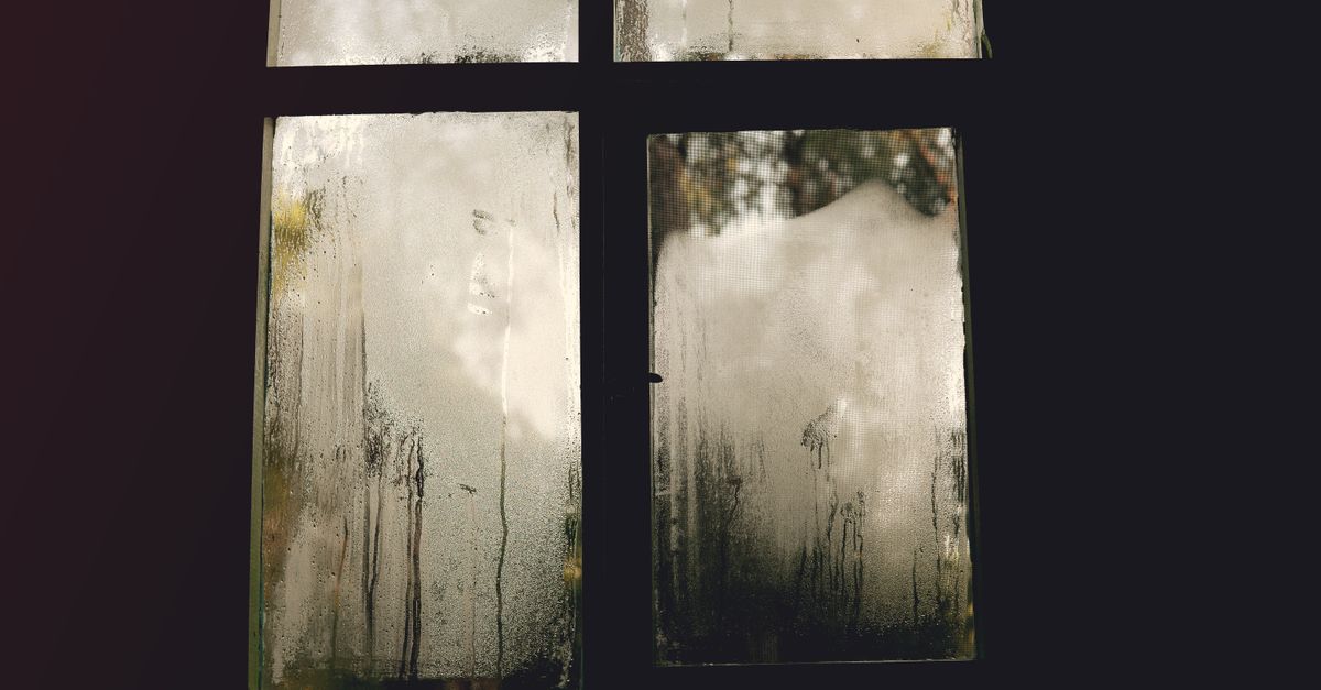 Beschlagene Fensterscheibe mit Kondenswasser — ein typisches Zeichen für zu hohe Raumluftfeuchtigkeit nach einer Sanierung.