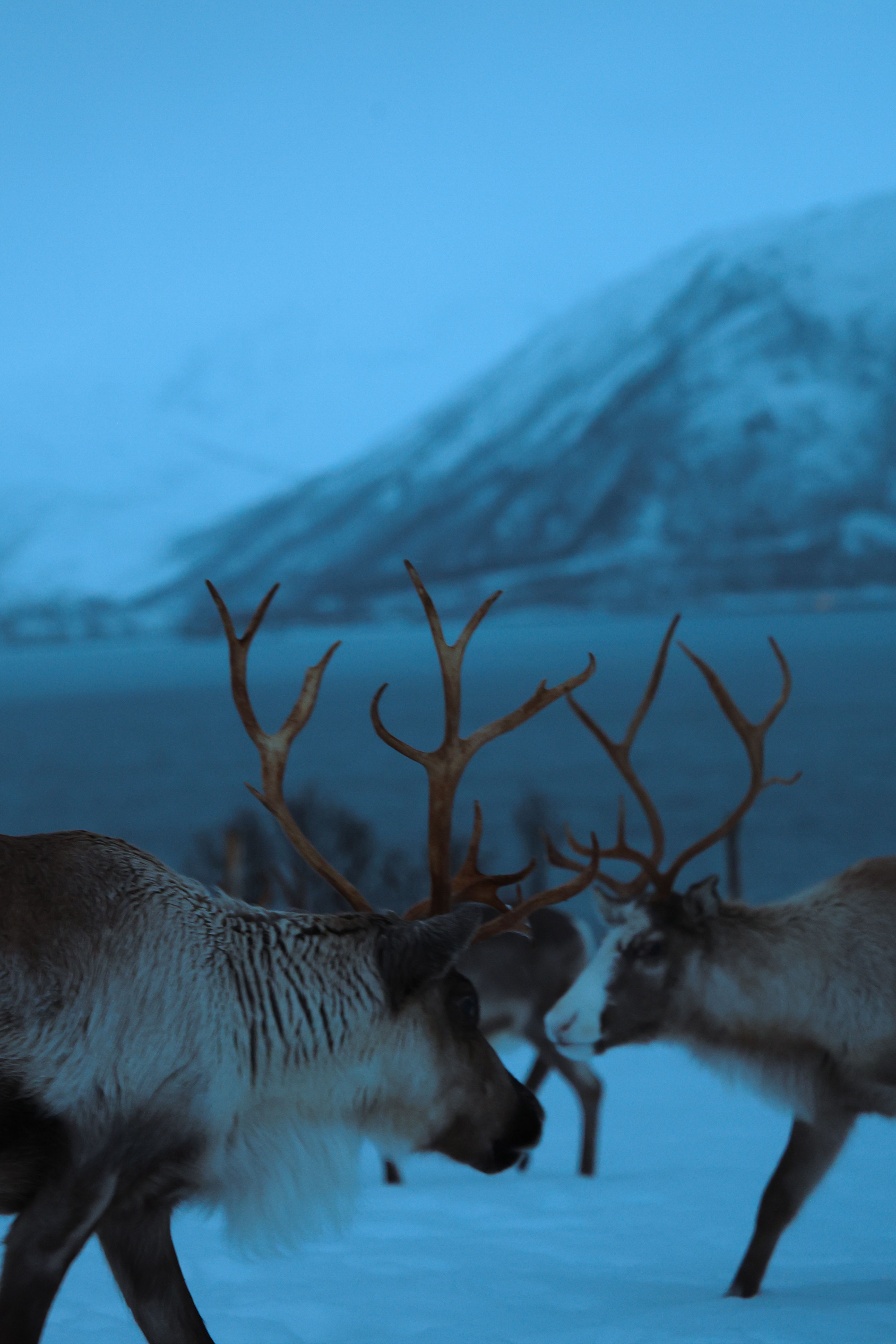 Animation Timelapse Photos Download The Best Free Animation Timelapse