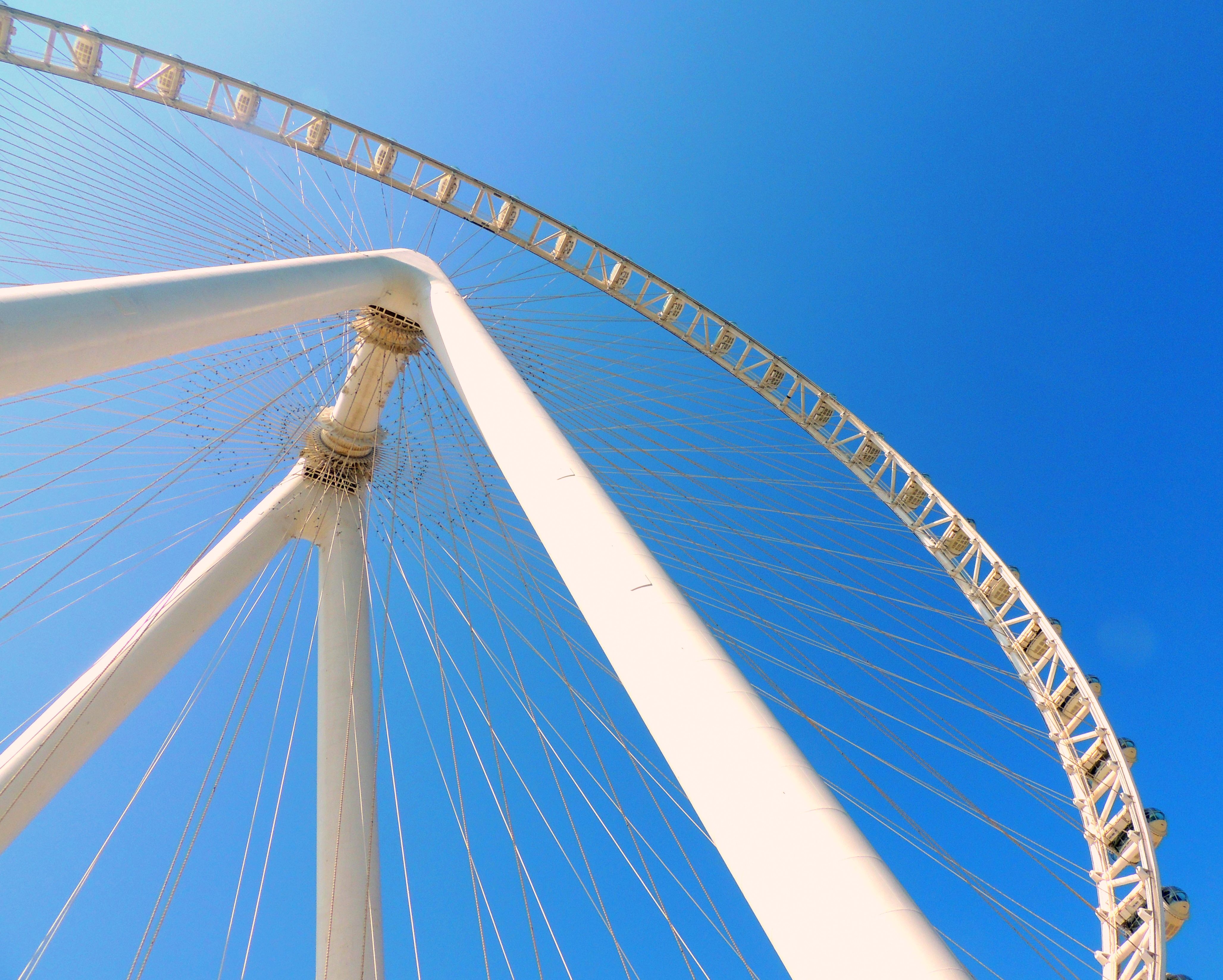 Ain Dubai: The World's Tallest Ferris Wheel · Free Stock Photo