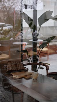 Warm café interior with a plant and reflections, offering a serene ambiance.