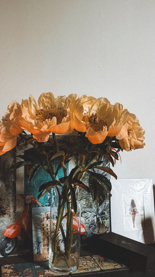 Free A stylish vase of peonies on a table with artwork, evoking a warm and creative ambiance. Stock Photo