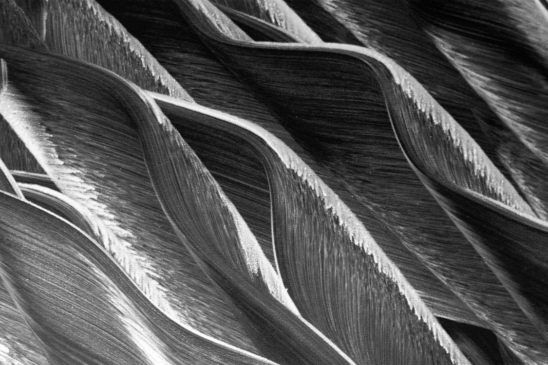 Abstract Patterns In Black And White Photography Free Stock Photo abstract-patterns-in-black-and-white-photography-free-stock-photo