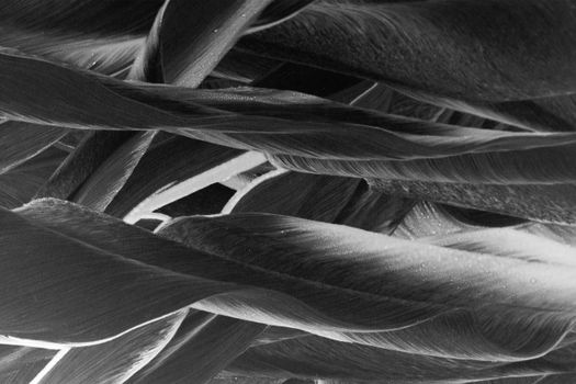 Highly detailed monochrome close-up of fabric textures showing interwoven fibers.