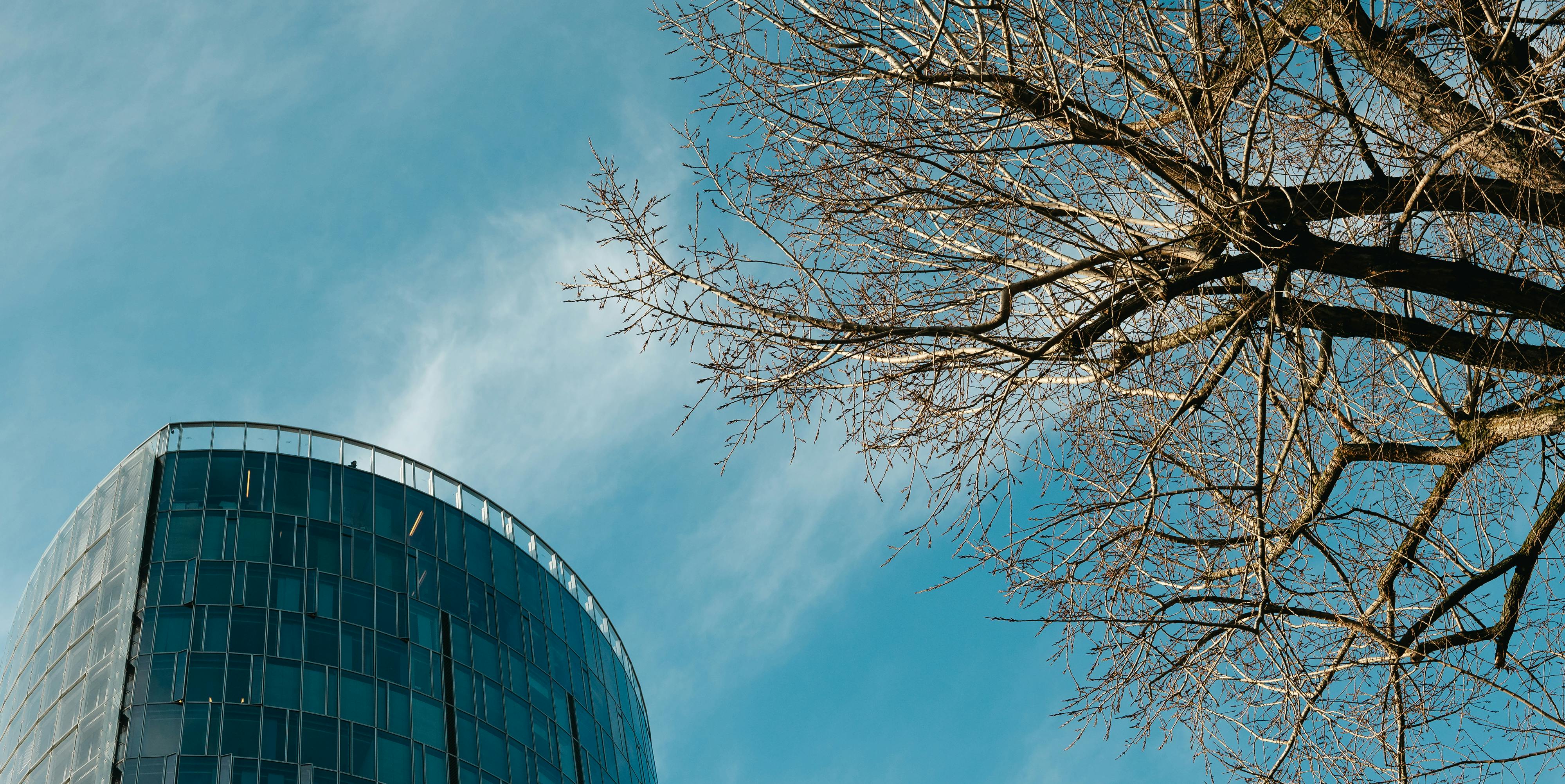 corporate governance esg esg governance examples — Photo by Markus Winkler on Pexels