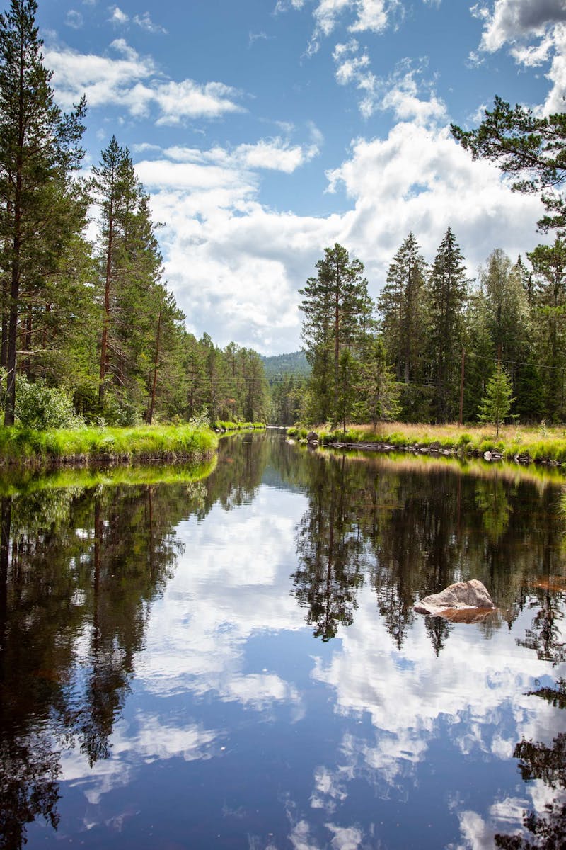 Mirror-still lake with tall pines and granite boulder under blue sky