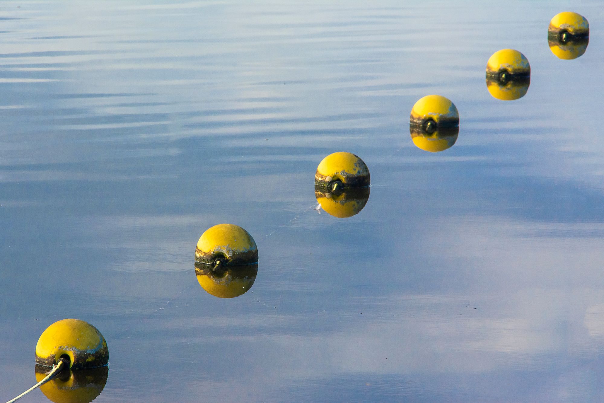 Yellow buoys floating on tranquil water reflecting the sky, creating a serene atmosphere.