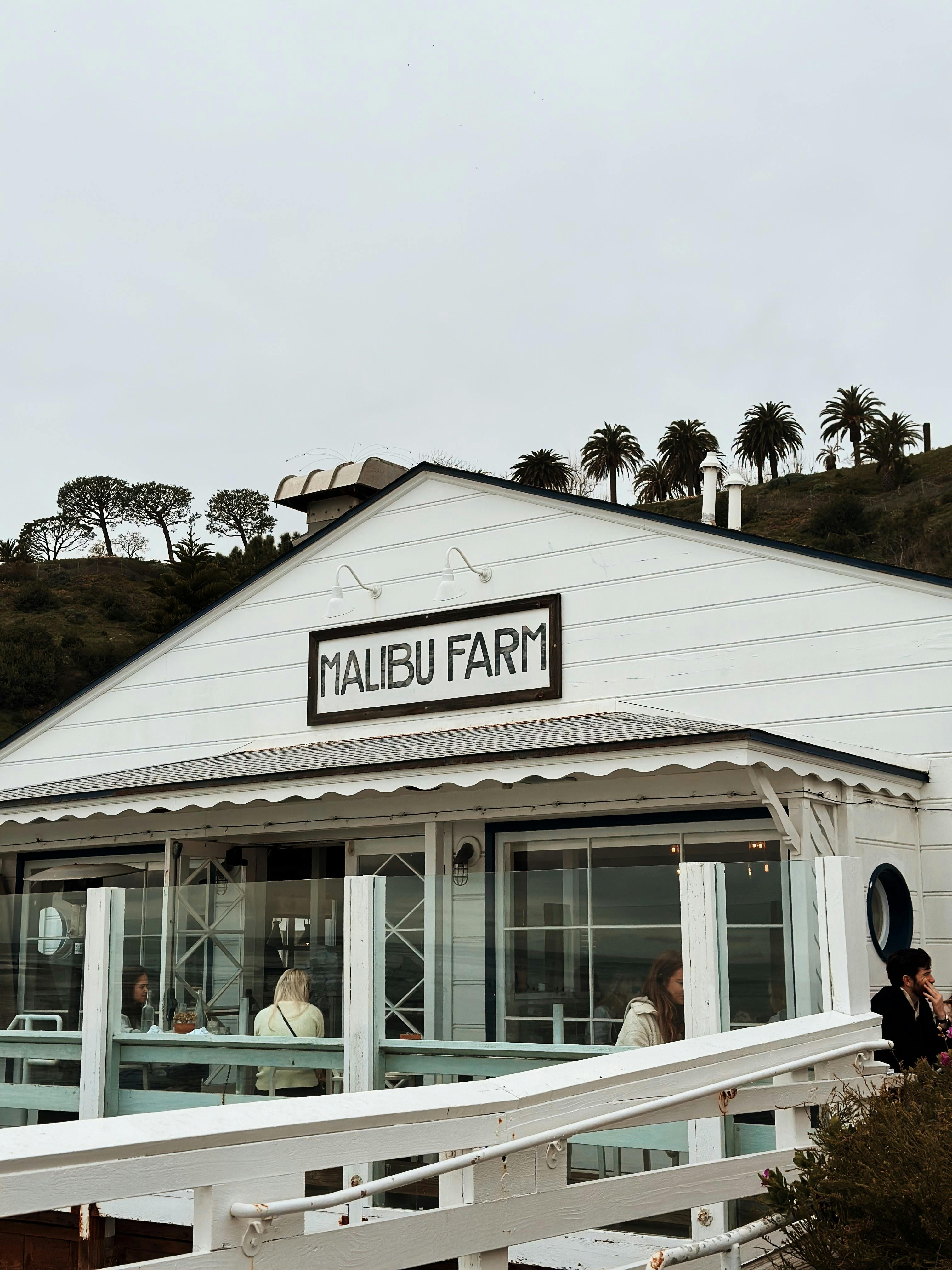 Malibu Farm restaurant with ocean views and palm trees, capturing a serene coastal vibe.