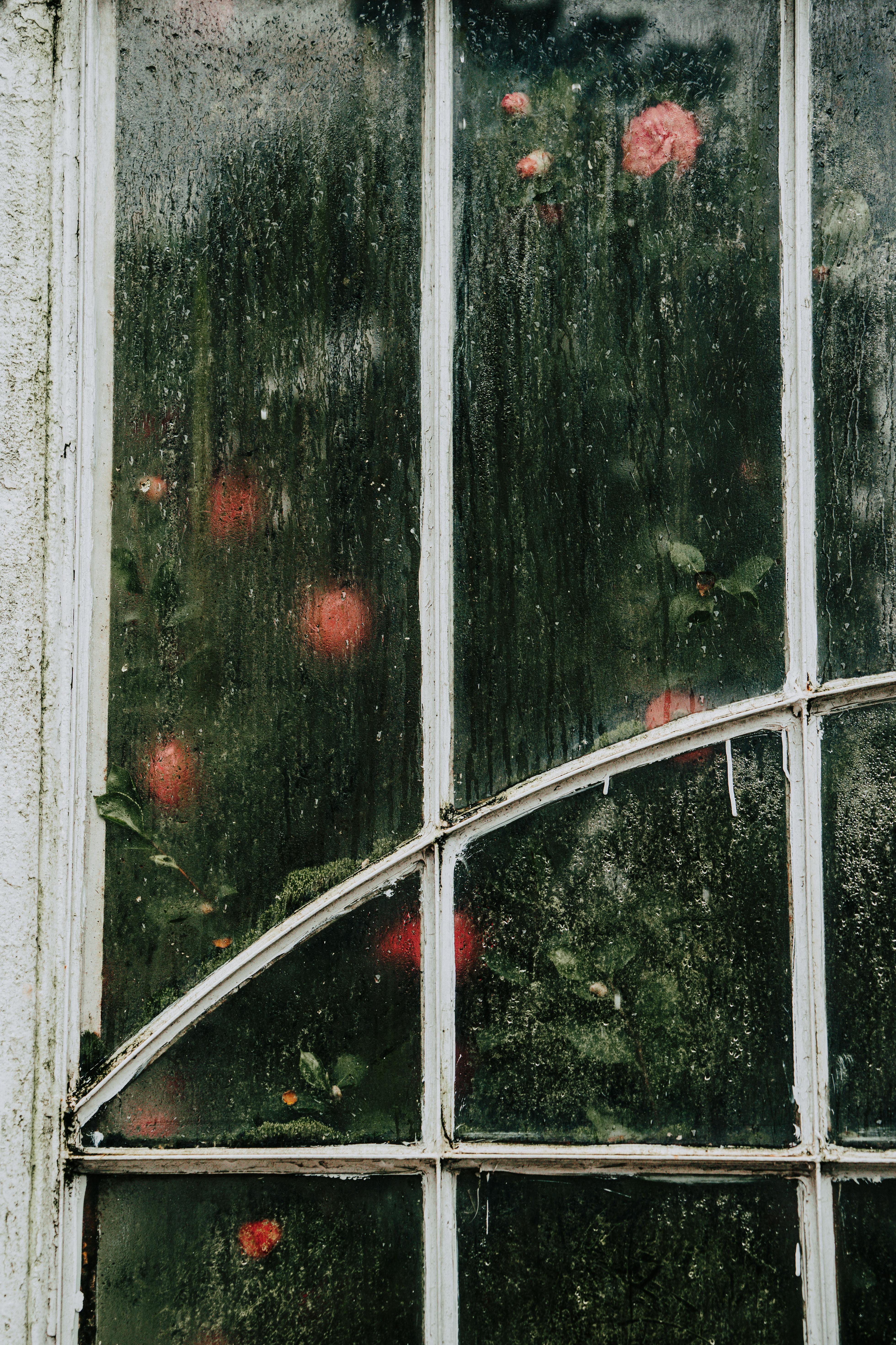 Misty vintage window reflecting roses outside, creating a nostalgic and dreamy ambiance.