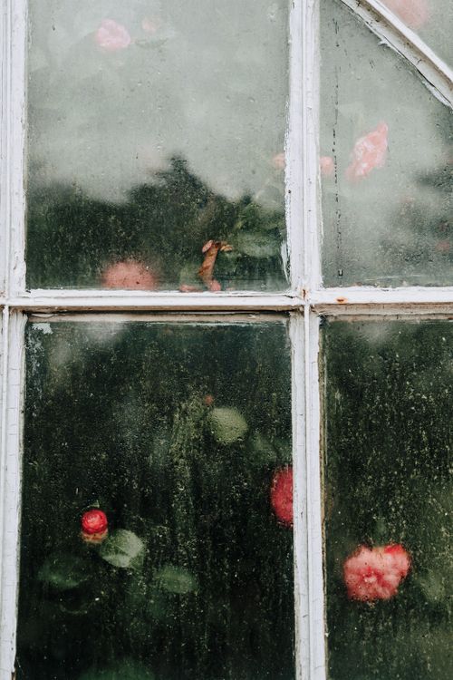 Free A nostalgic view of vibrant flowers through a fogged windowpane, evoking a sense of tranquility. Stock Photo