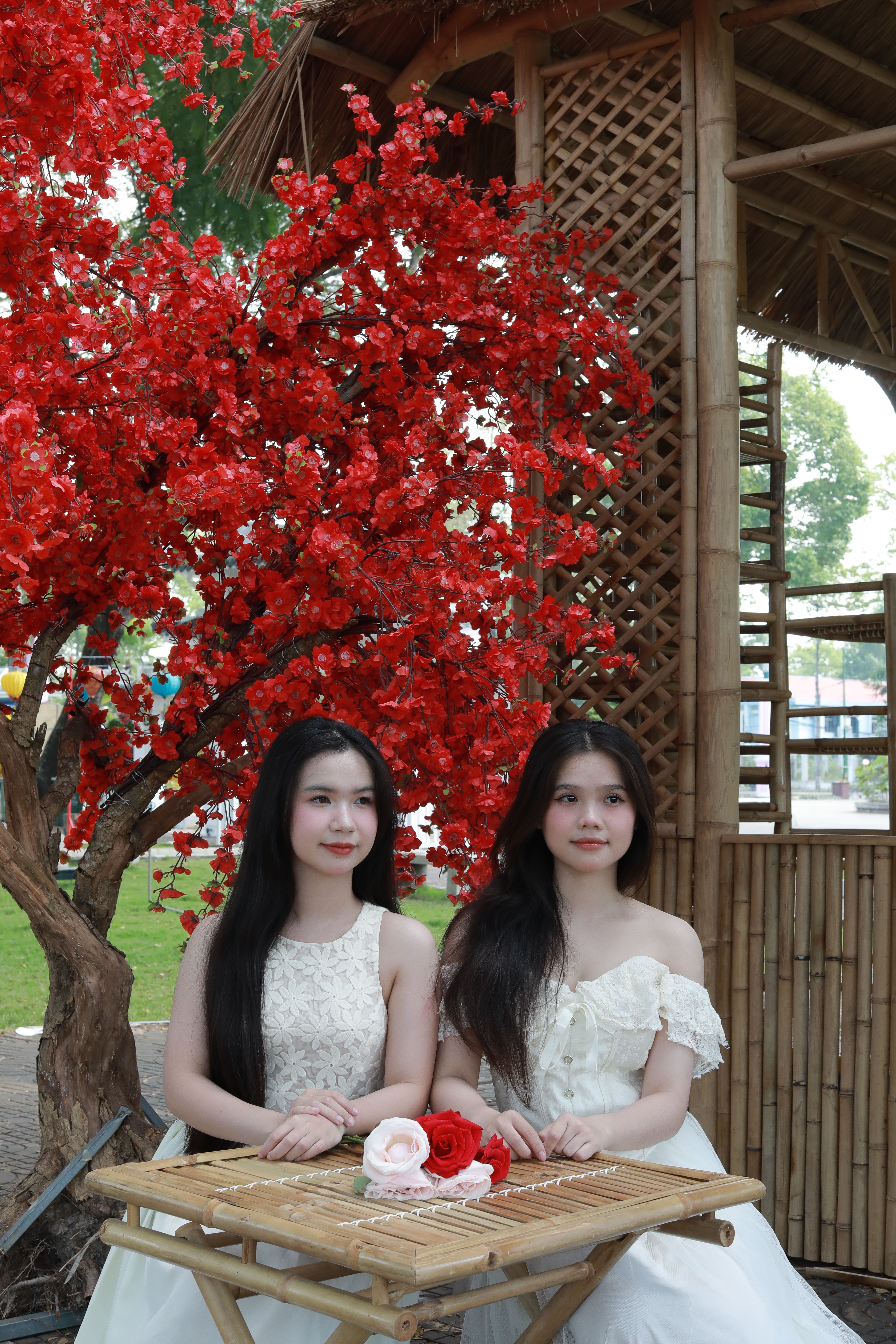 Young Women in White Dresses with Red Blossoms · Free Stock Photo