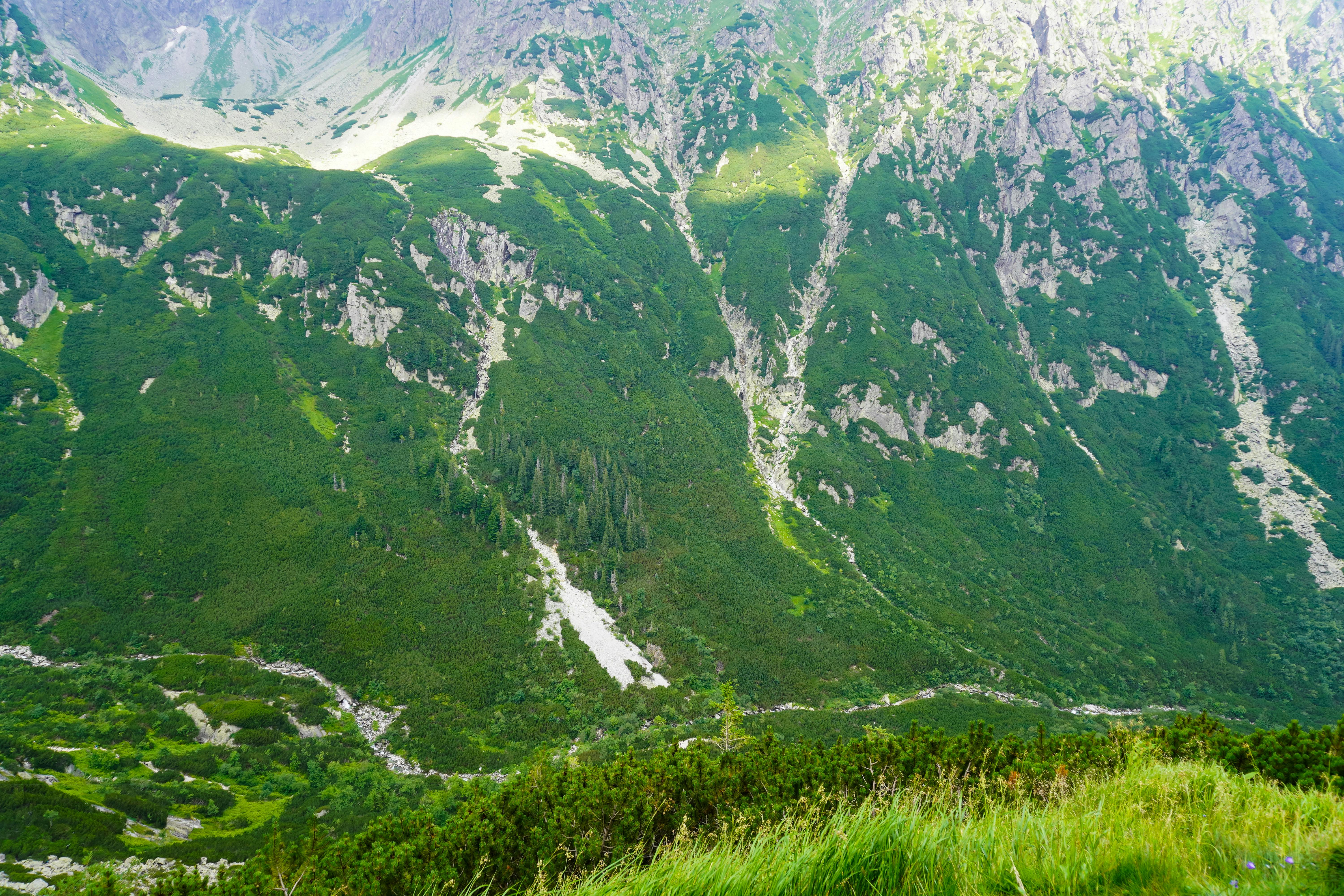 Tatry – królewskie szczyty Karpat - Ilustracja do artykułu
