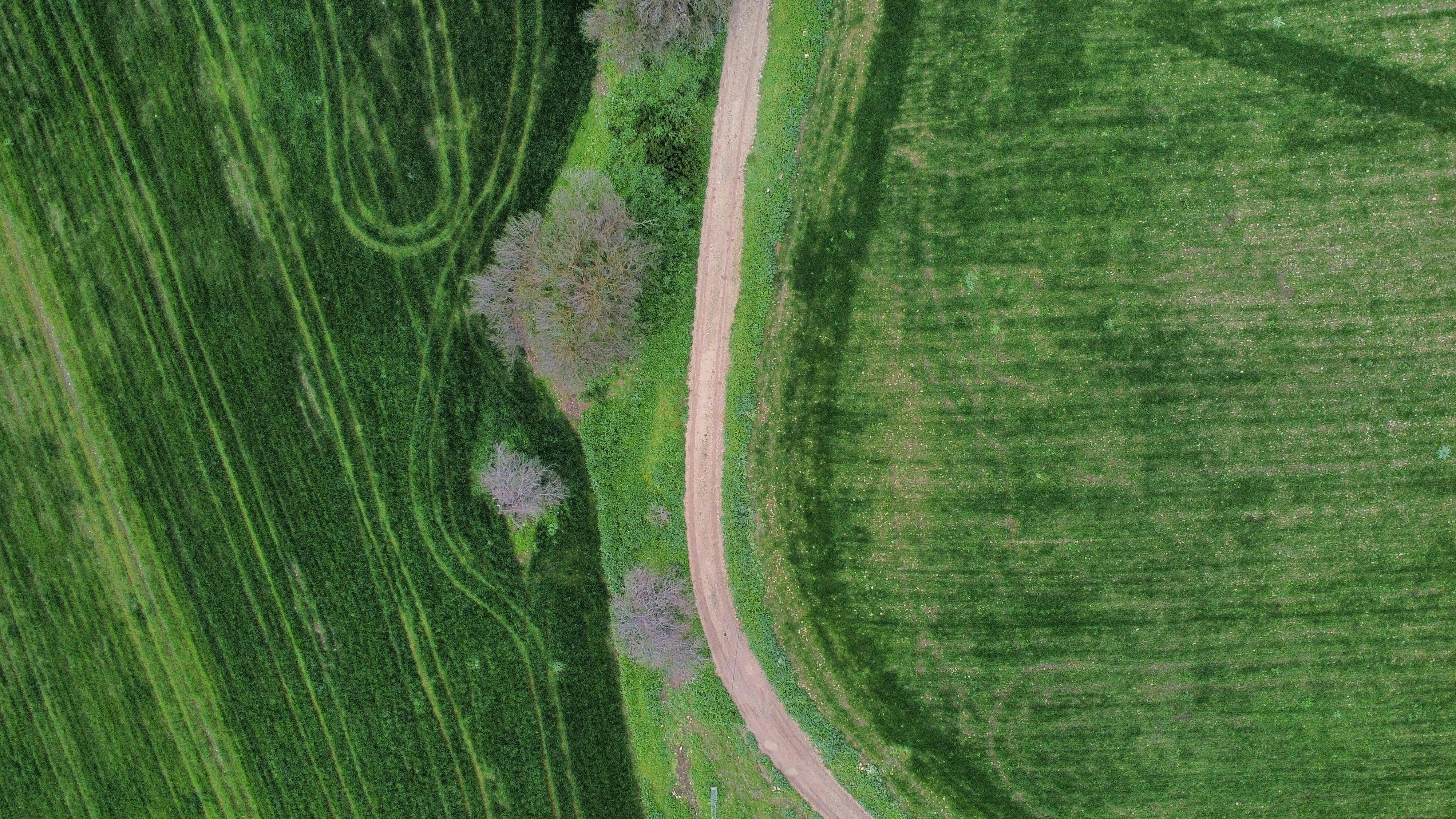 The green mile: charting the bumpy road to sustainable urban mobility — Photo by sayari bechir on Pexels