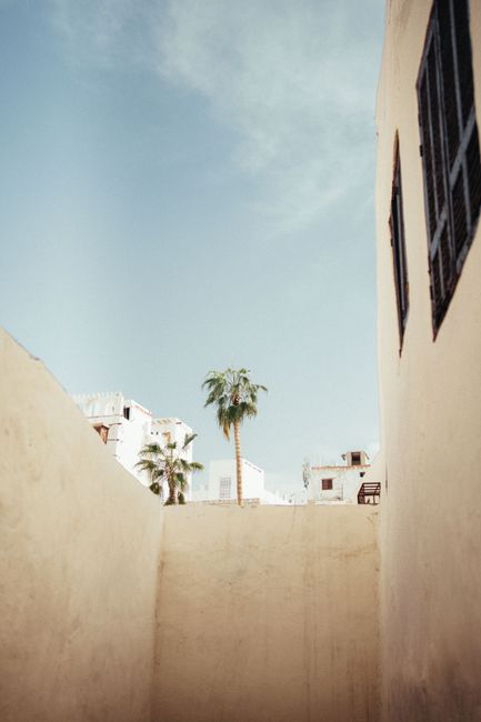 Serene alleyway in North Africa featuring palm trees and traditional architecture.
