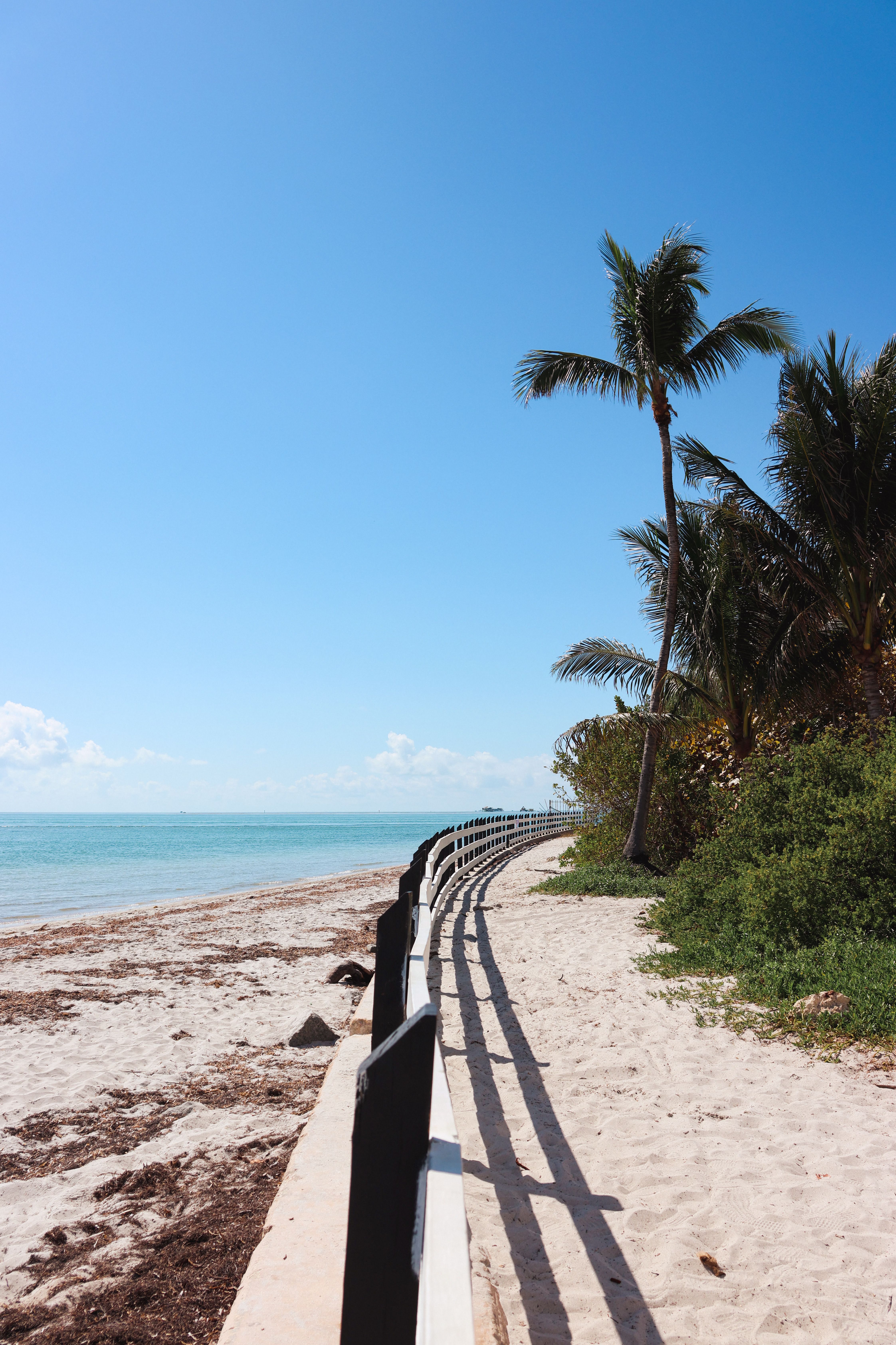 Undeveloped sunny Florida beach with palm trees near the Hobe Sound wildlife refuge