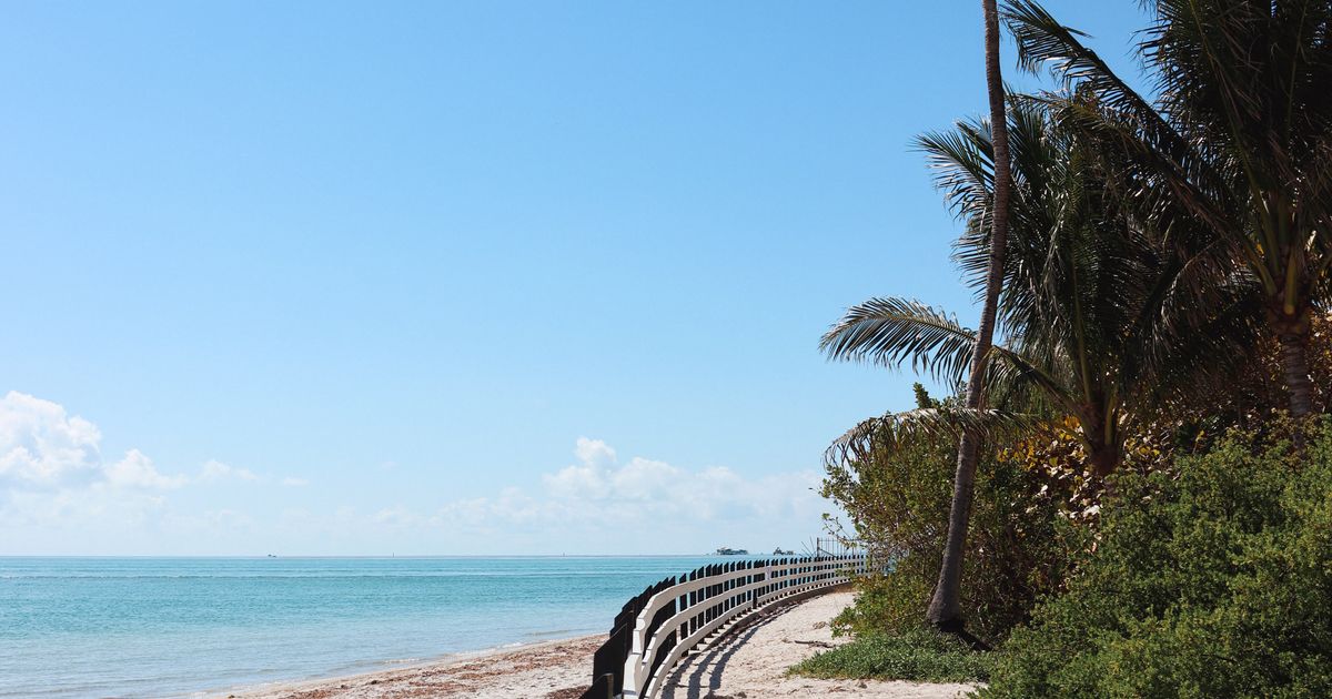 Undeveloped sunny Florida beach with palm trees near the Hobe Sound wildlife refuge