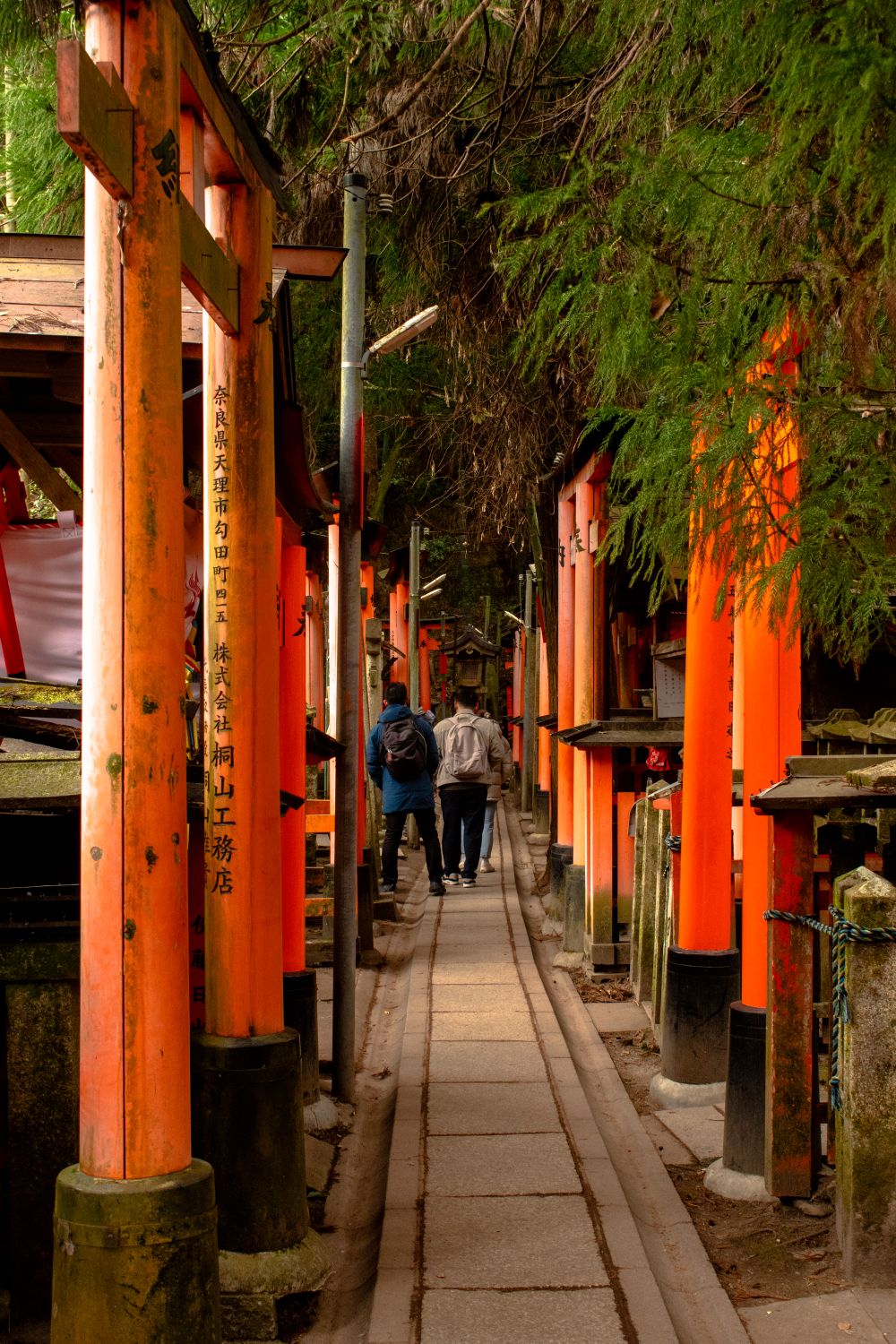 Walking Through Fushimi Inari Shrine Torii Gates · Free Stock Photo