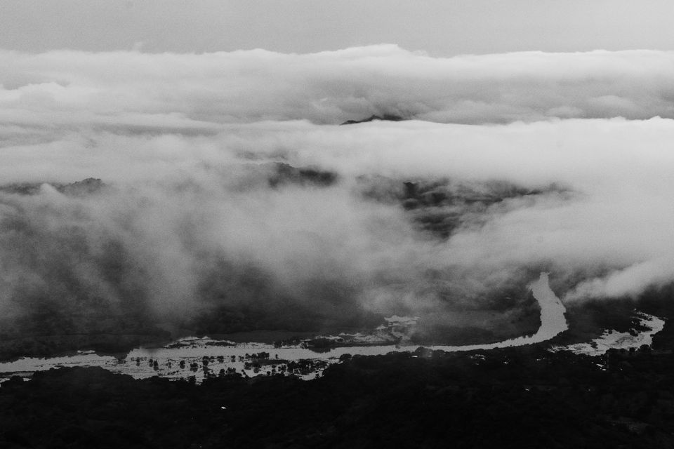 The Los Quetzales Trail passes through primary cloud forest at 1,800–2,400 metres — some of the finest quetzal habitat in Panama