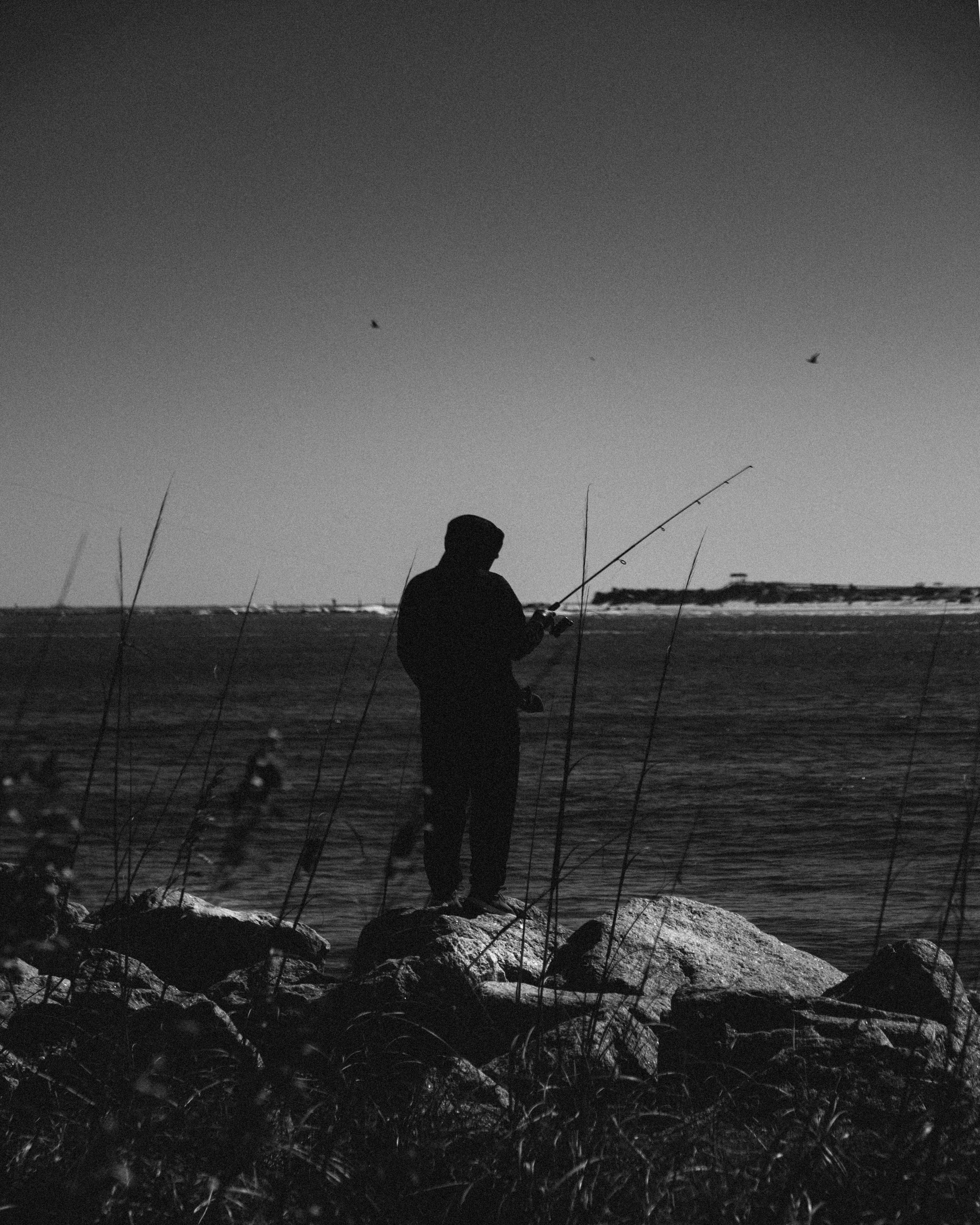 black and white man with deep sea fishing pole 1950s Older Standing In Surf In Waders Holding Fish In One Hand In Other Print By Vintage Collection: Posters & Prints Grayscale Photo of Two People