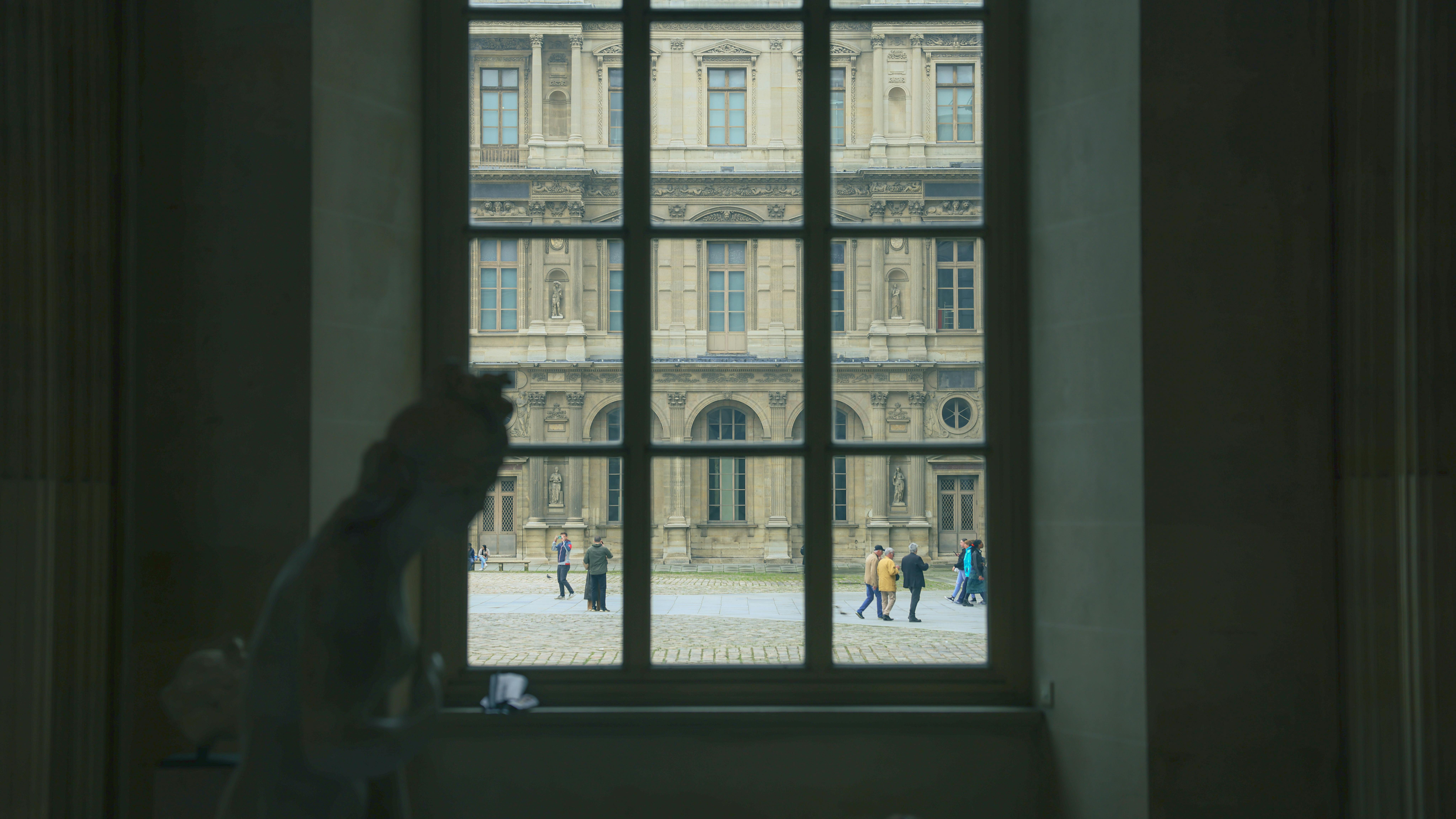 Ethical kennel scene for health prevention with attentive dogs and handlers