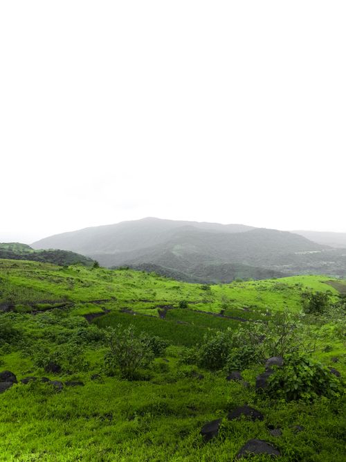 Free Dreamland Stock Photo
