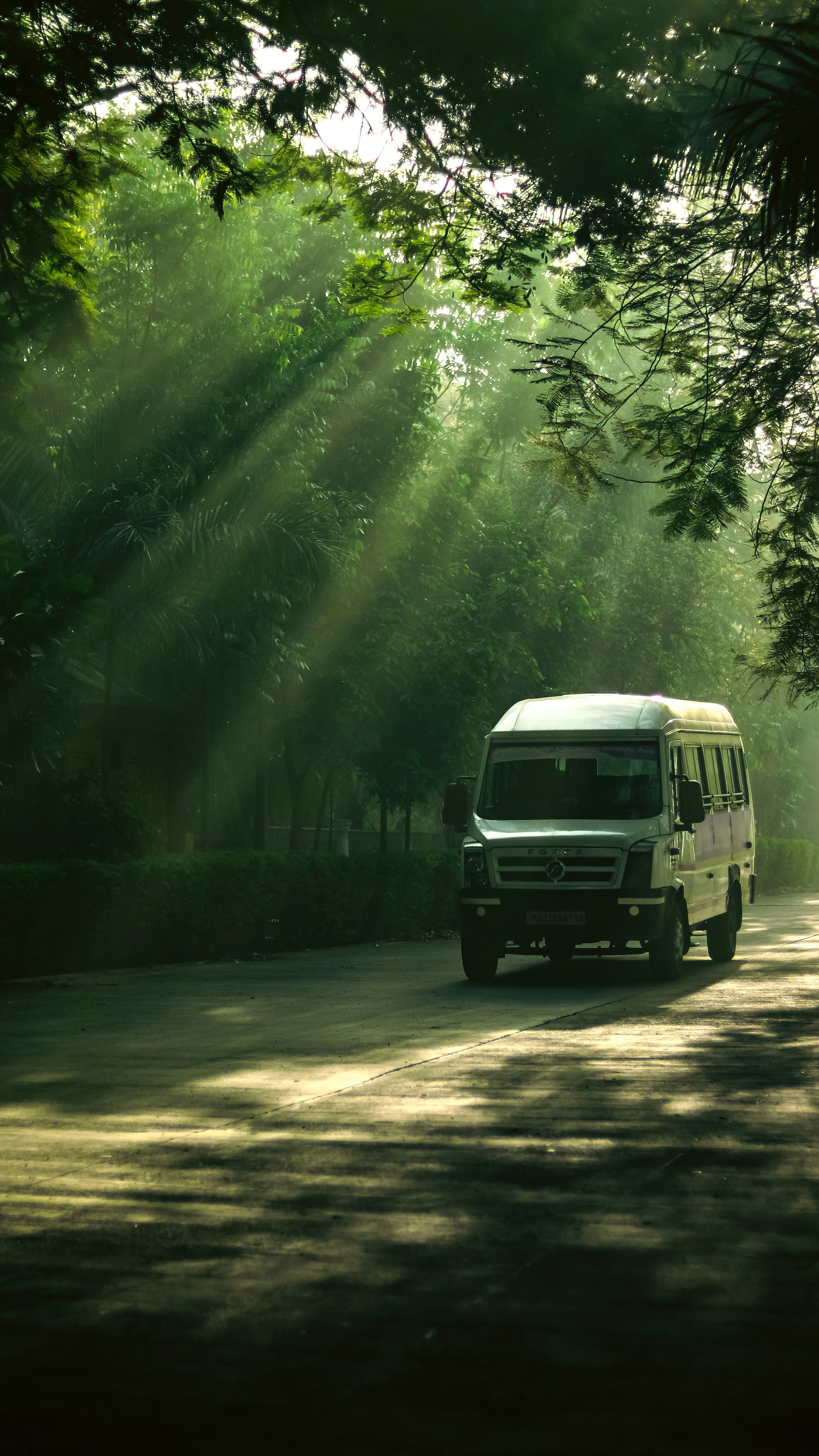A van driving along a tree-lined road in India, illuminated by streaming sunrays.