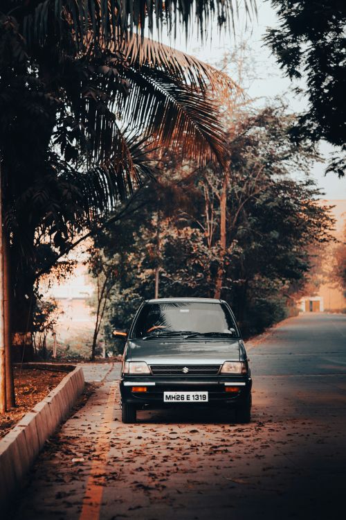Free A classic car parked on an autumn street in India, surrounded by trees and fallen leaves. Stock Photo