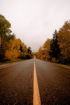在阴沉的天空下，道路两侧充满活力的秋叶让这条宁静的小路非常适合秋季旅行