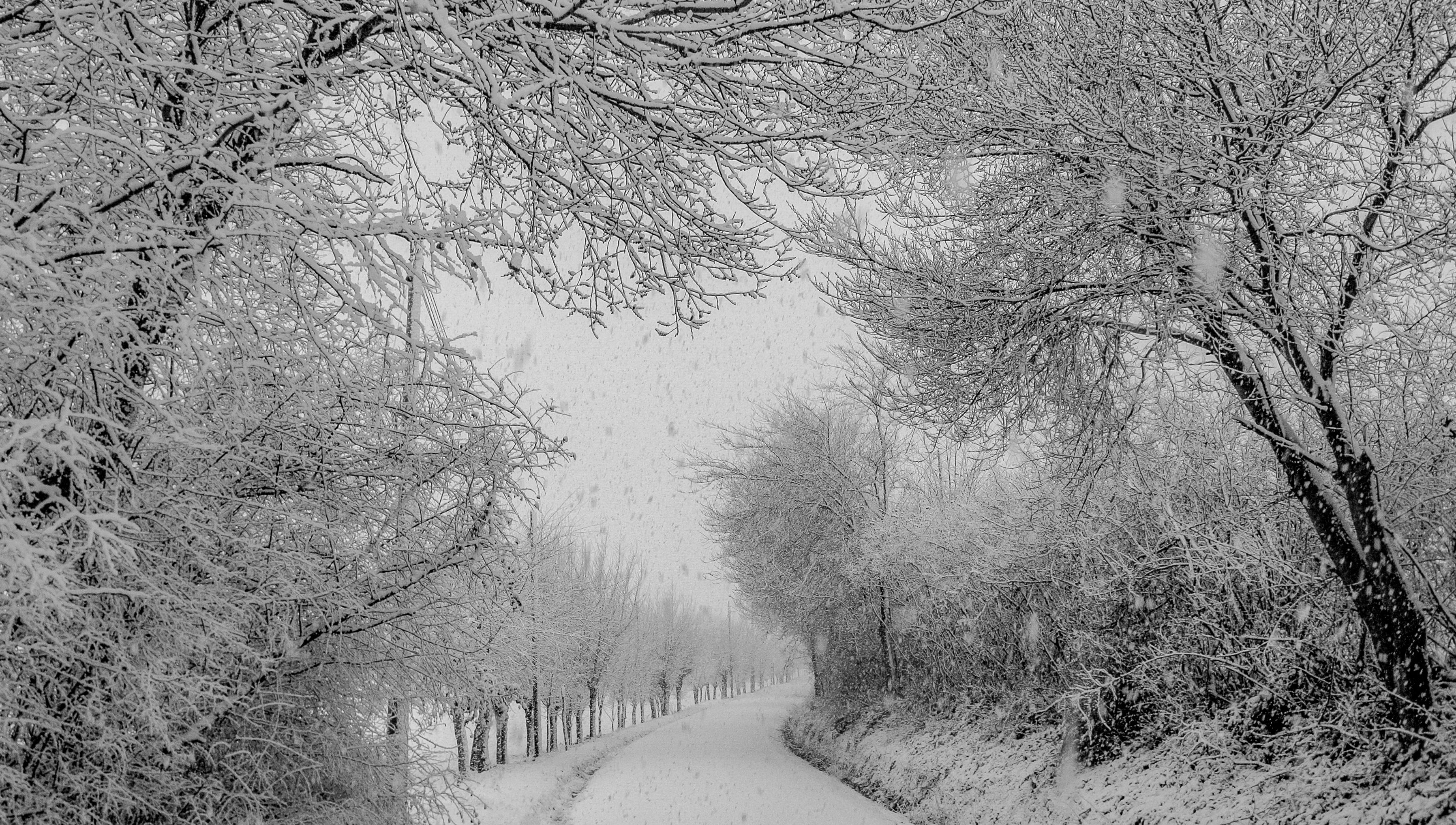 Vremea se răcește de marți, cu ploi în aproape toată țara