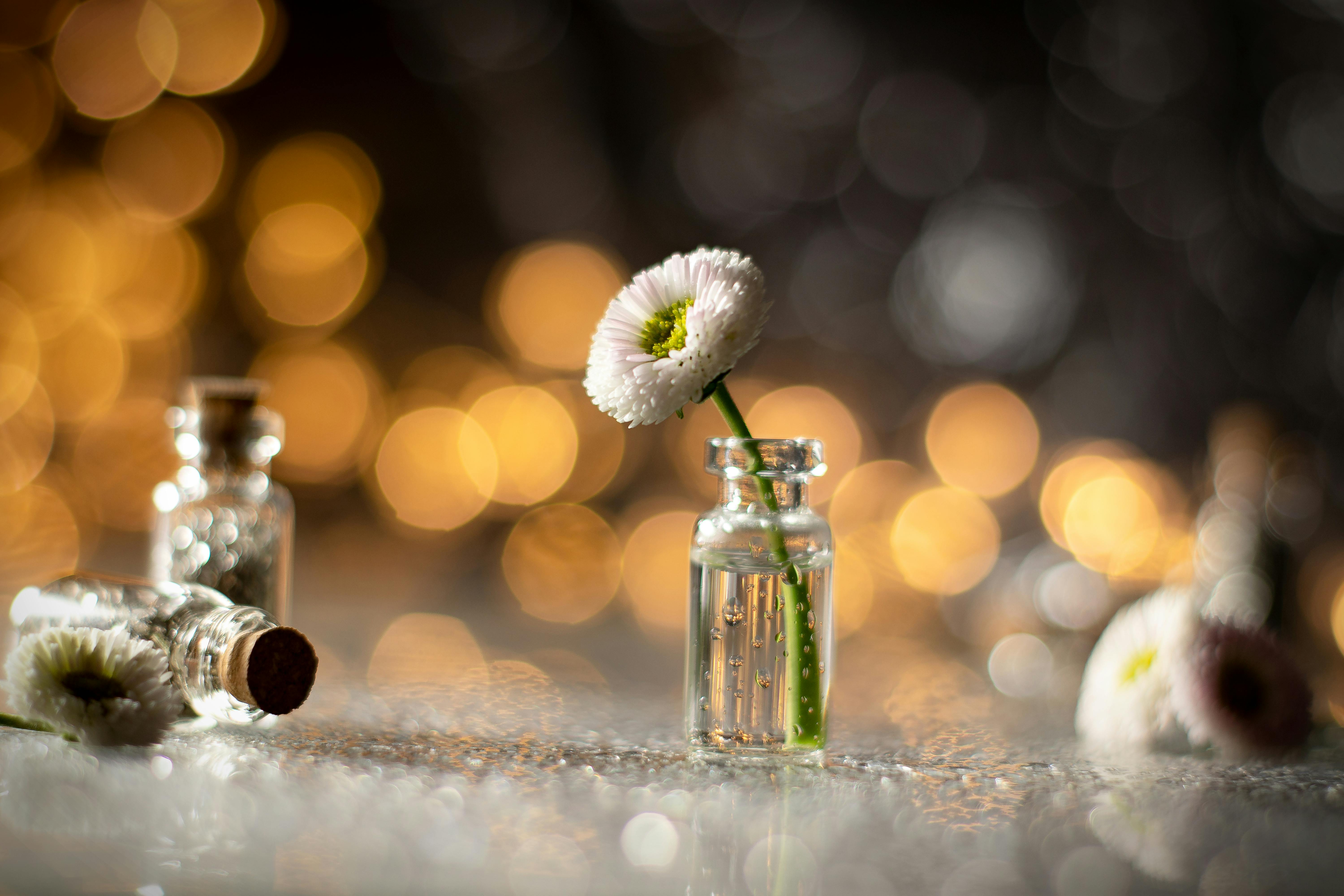 Les meilleures façons de consommer les fleurs CBD pur