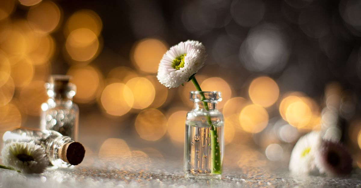 Les meilleures façons de consommer les fleurs CBD pur