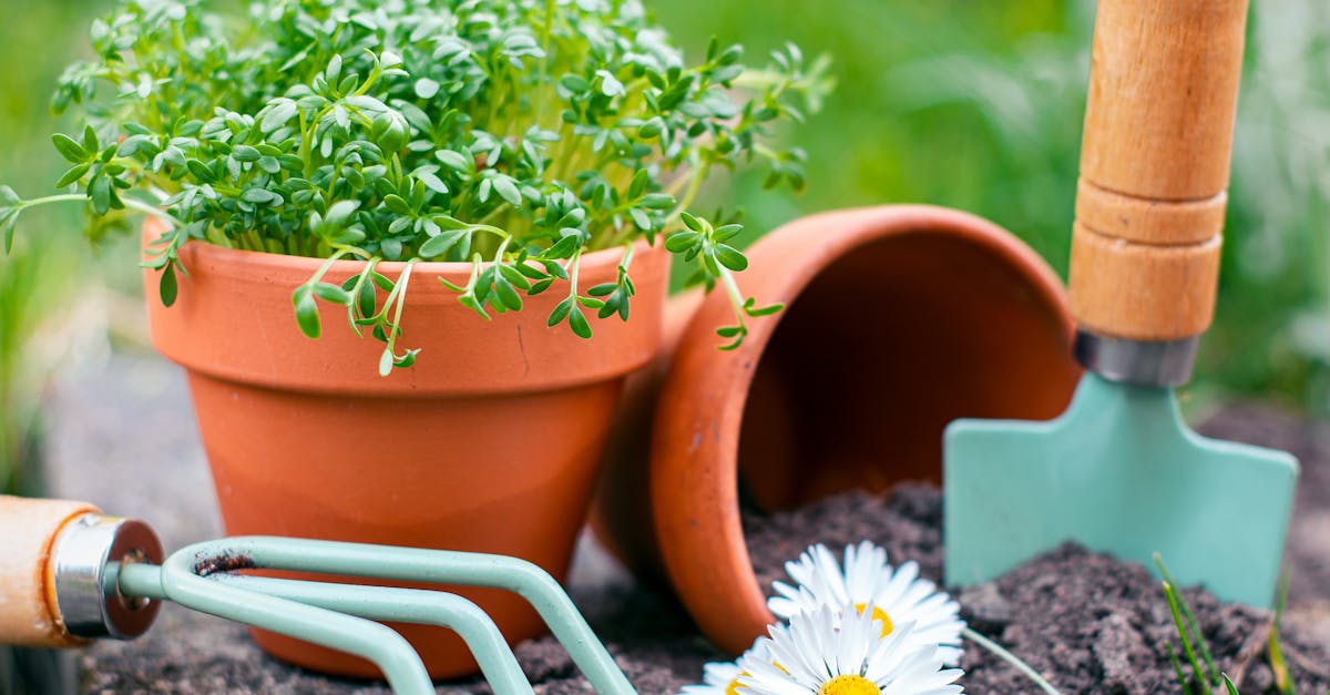 Las mejores herramientas para jardinería