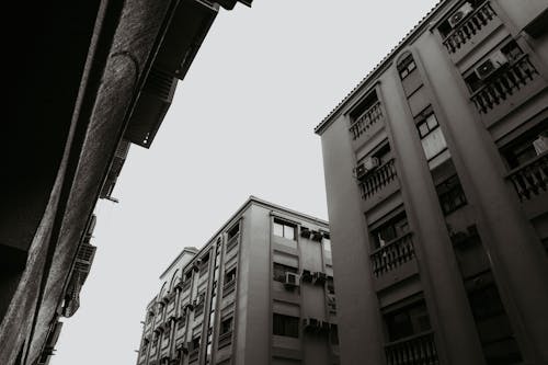Free Grayscale Photo of Concrete Buildings Stock Photo
