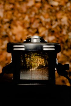 Close-up of a camera screen displaying a fall landscape with colorful leaves.