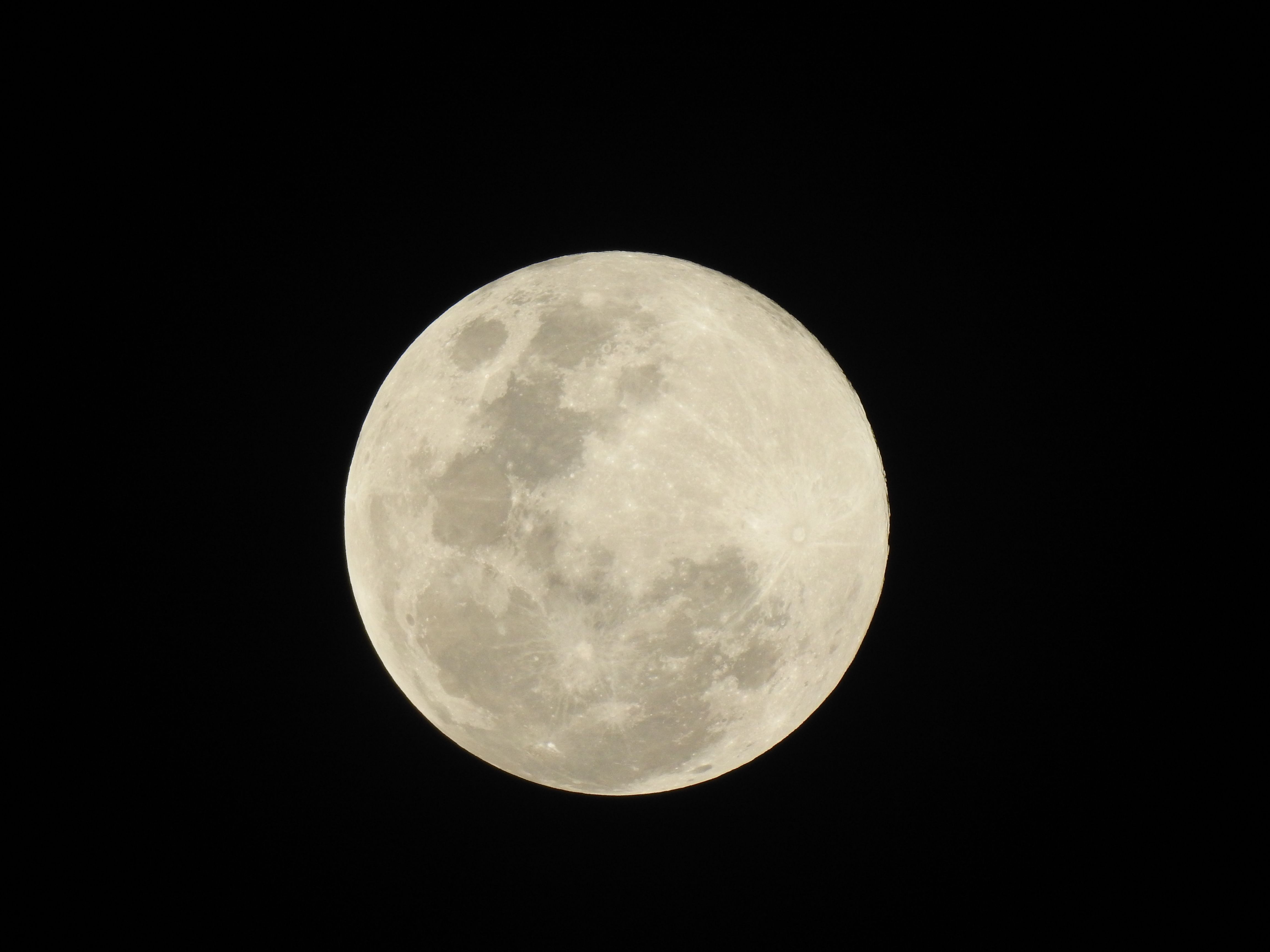 Bright Full Moon Against Black Night Sky · Free Stock Photo