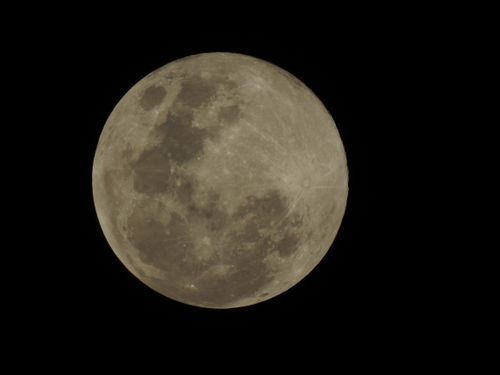 Free A detailed view of the full moon against a dark night sky. Stock Photo