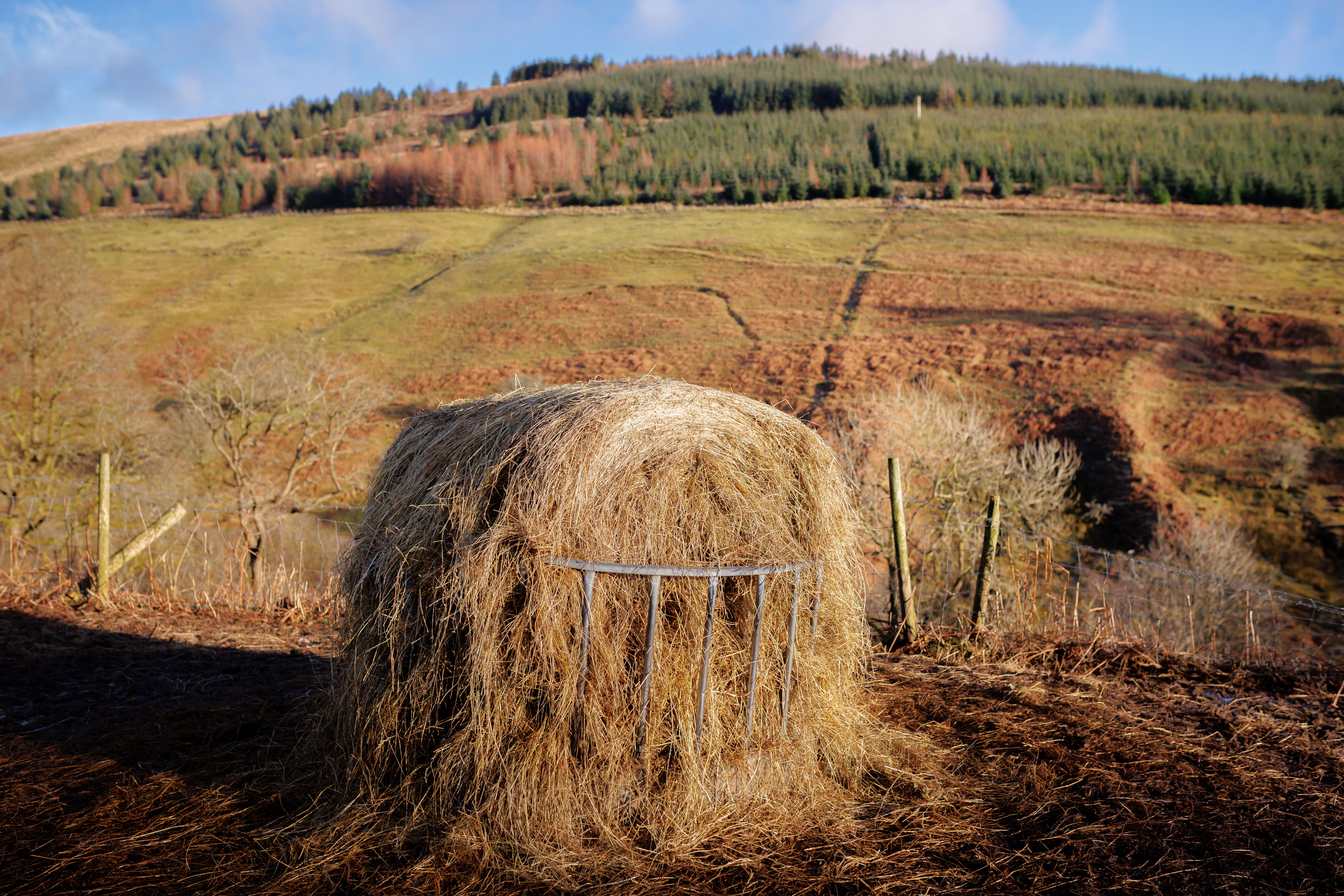 Hay Bale in Serene Welsh Countryside · Free Stock Photo