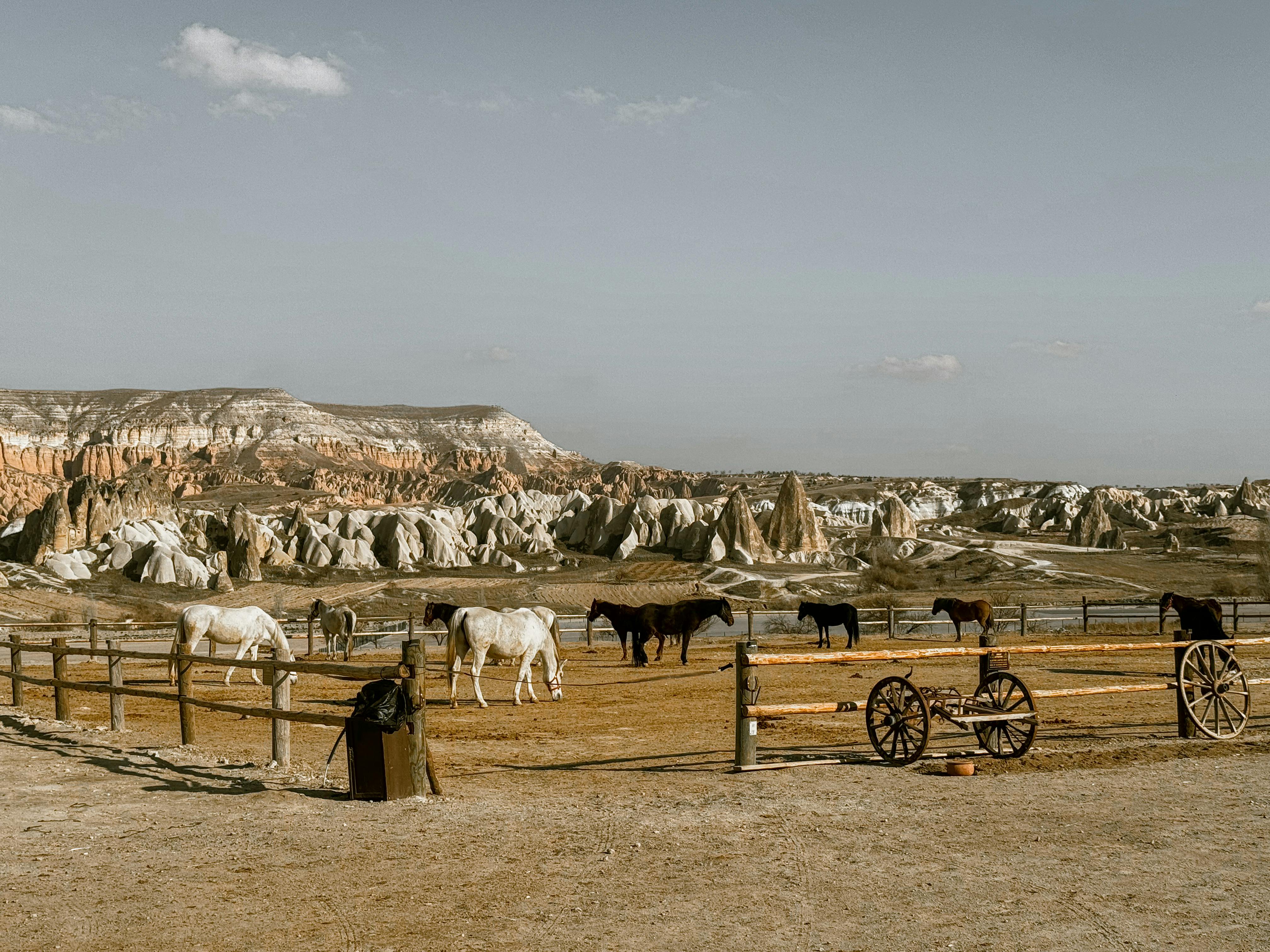 Biofarm background image