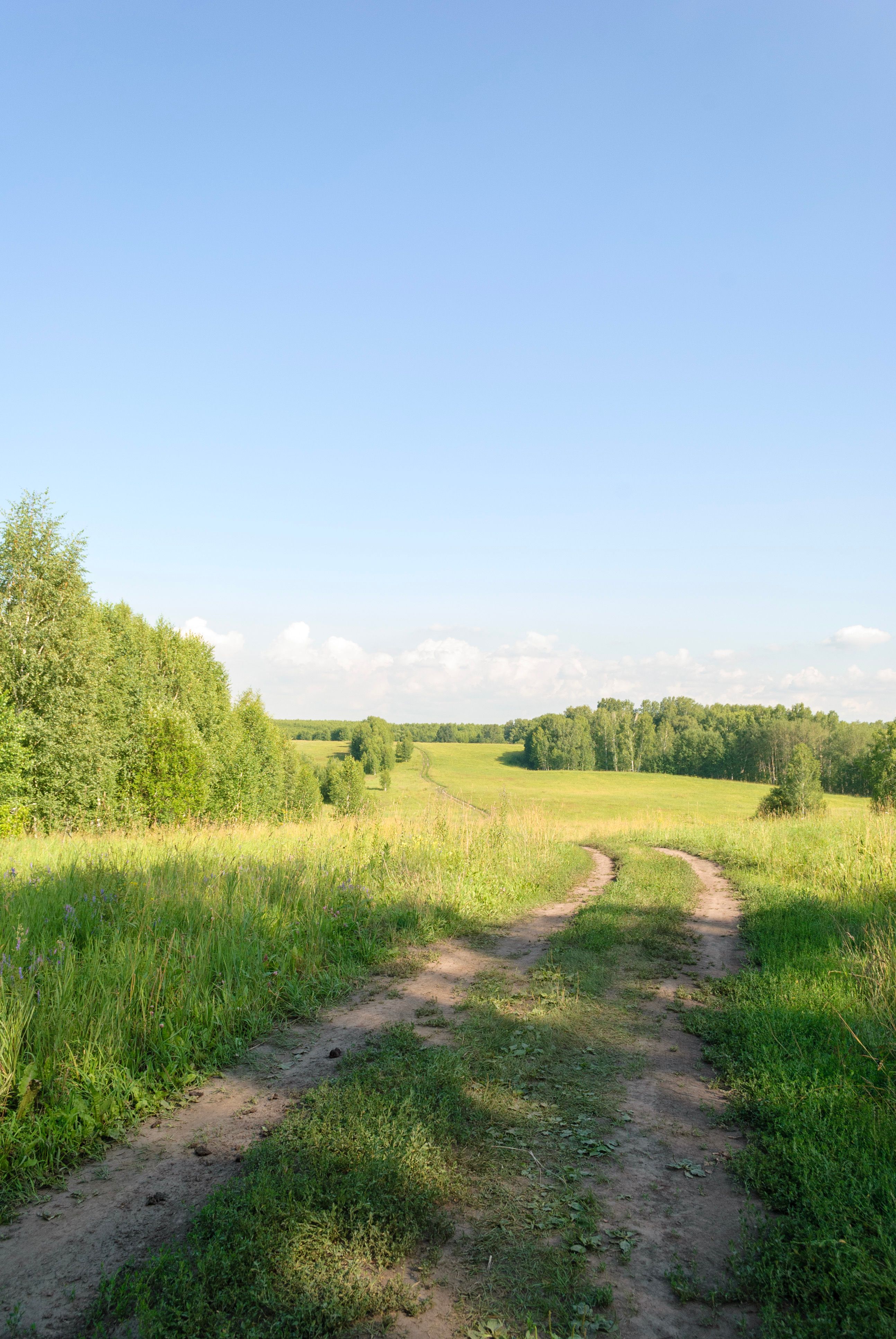 Peaceful Country Trail Through Green Fields · Free Stock Photo