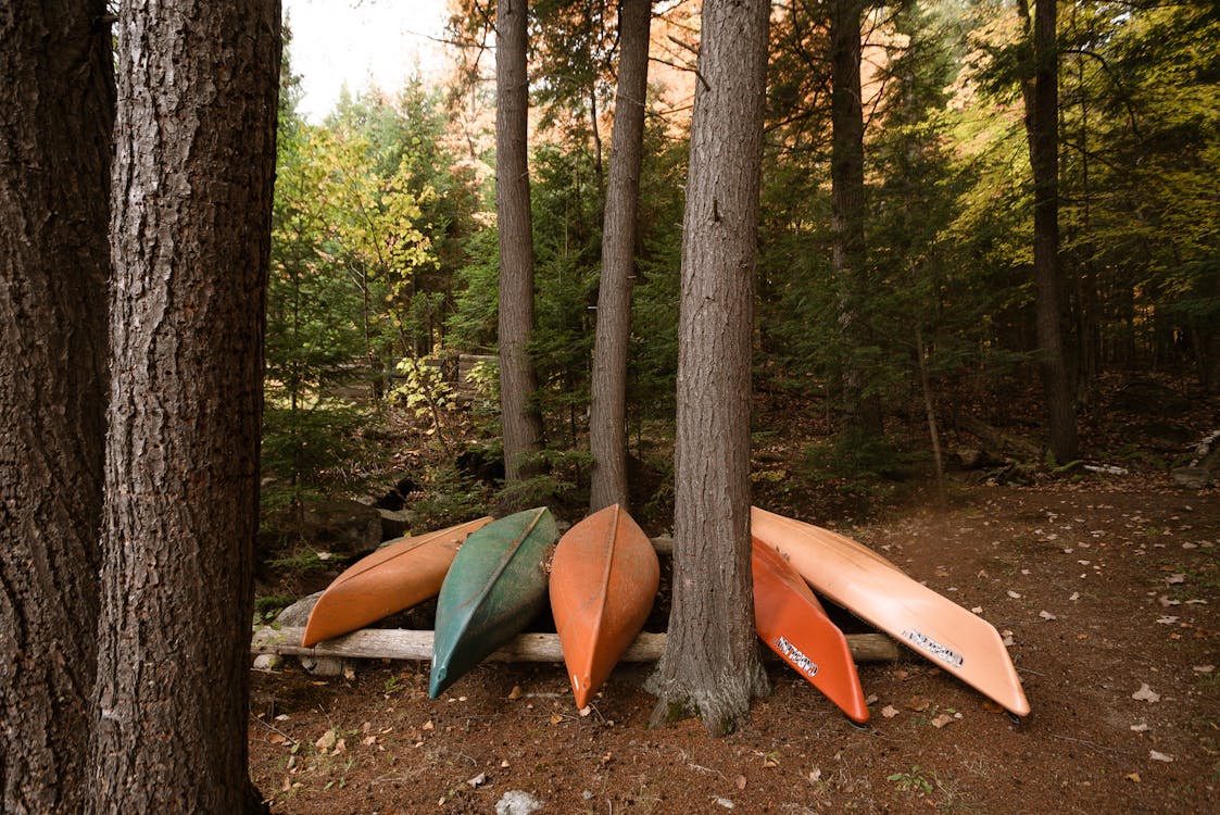 Canoeing Building Resiliency through camping